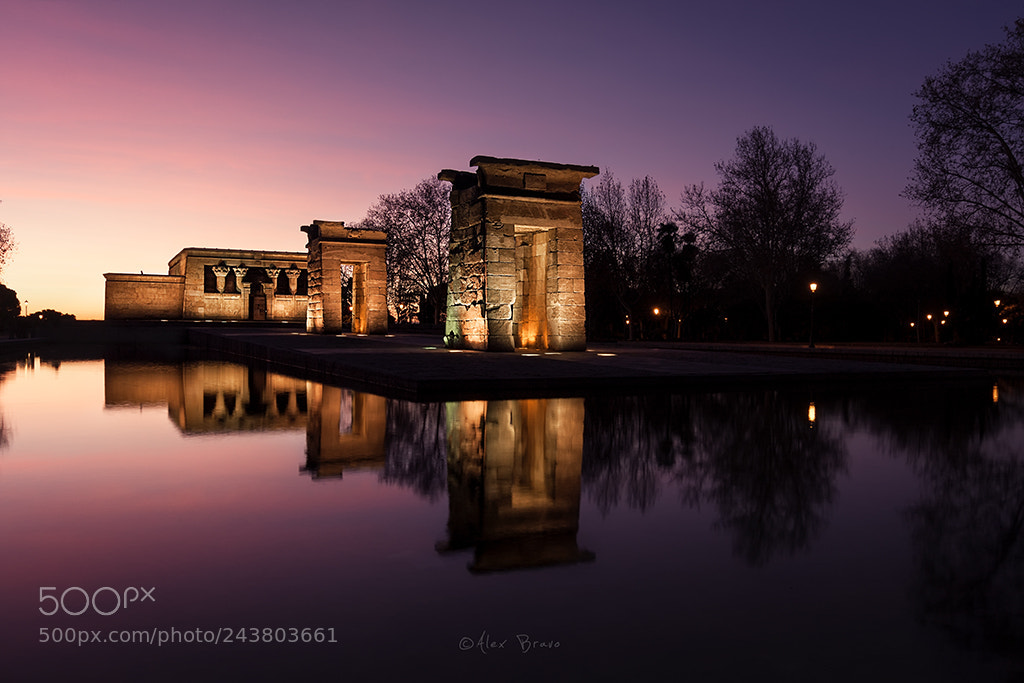 Canon EOS 40D sample photo. Debod photography