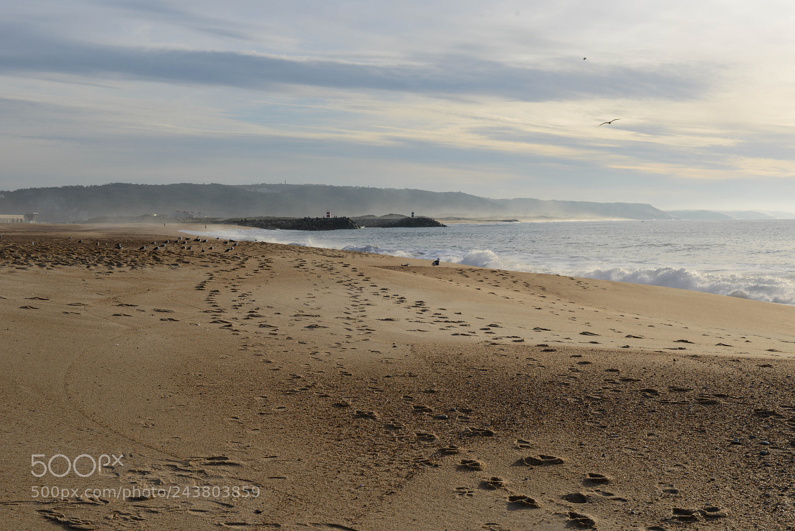 Nikon D800 sample photo. Portugal photography