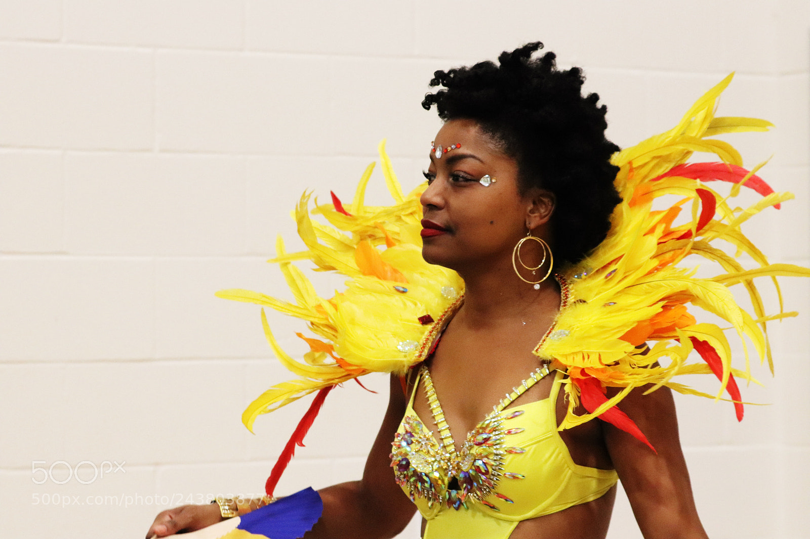 Canon EOS 800D (EOS Rebel T7i / EOS Kiss X9i) sample photo. Yellow radiant dancer. photography