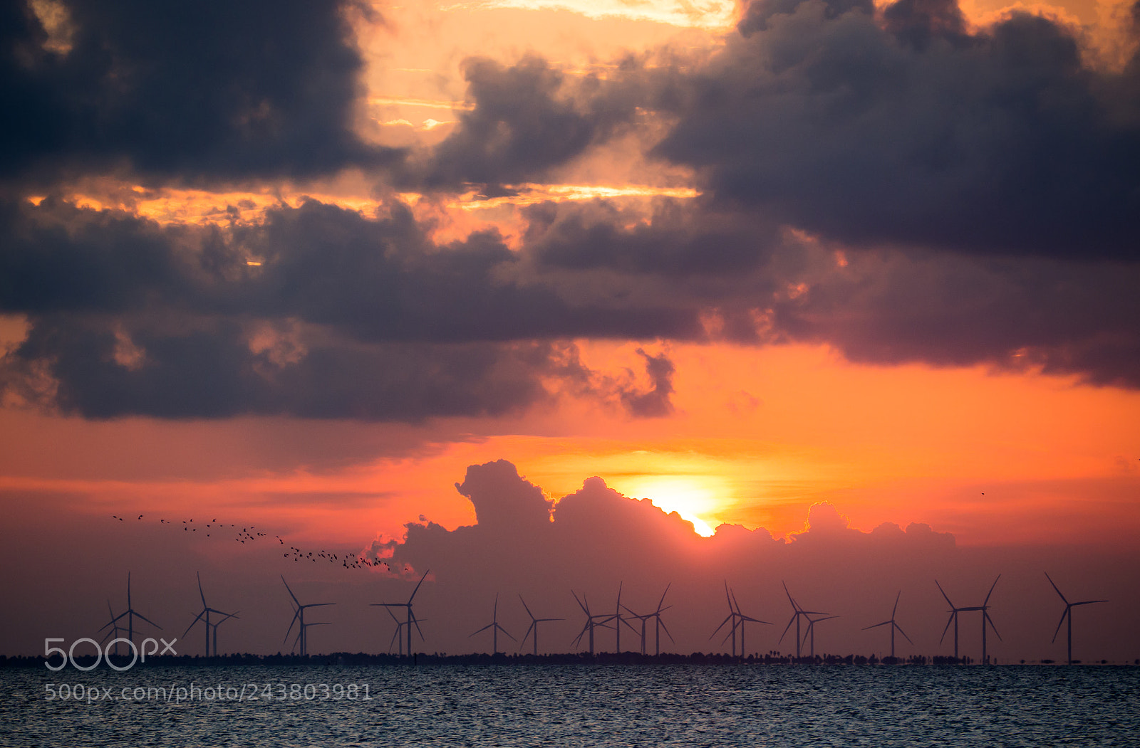 Olympus OM-D E-M10 II sample photo. Sunset windmills photography