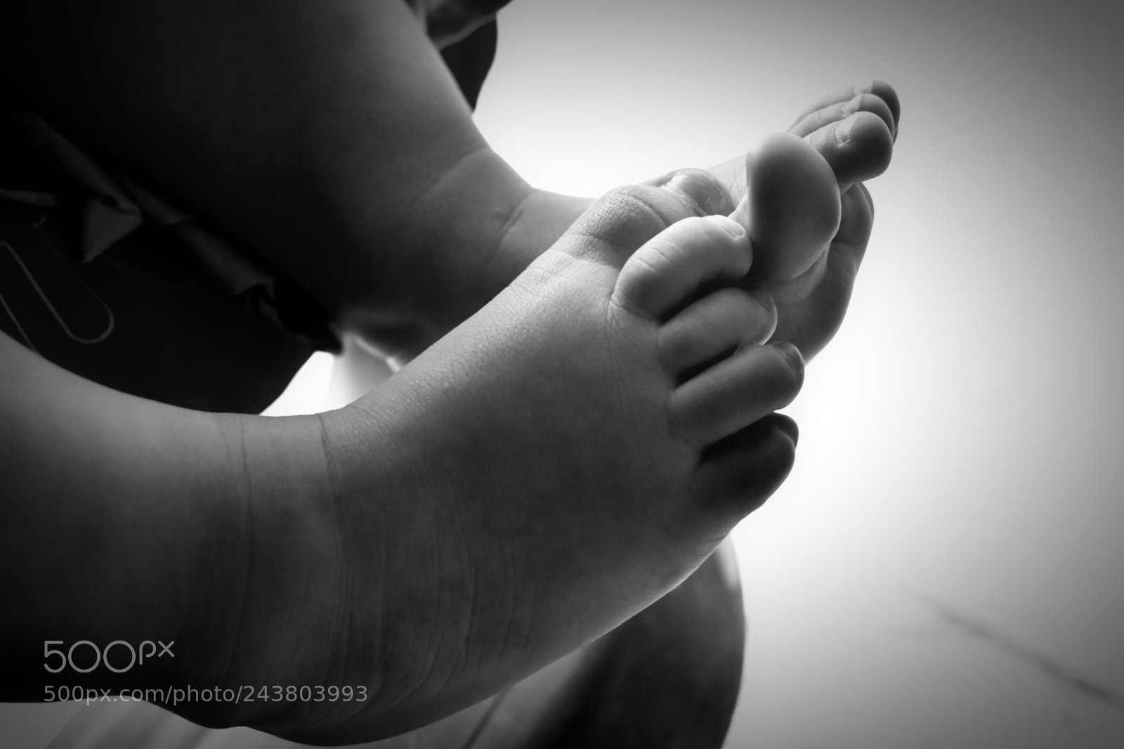 Nikon D5600 sample photo. Untitled photography