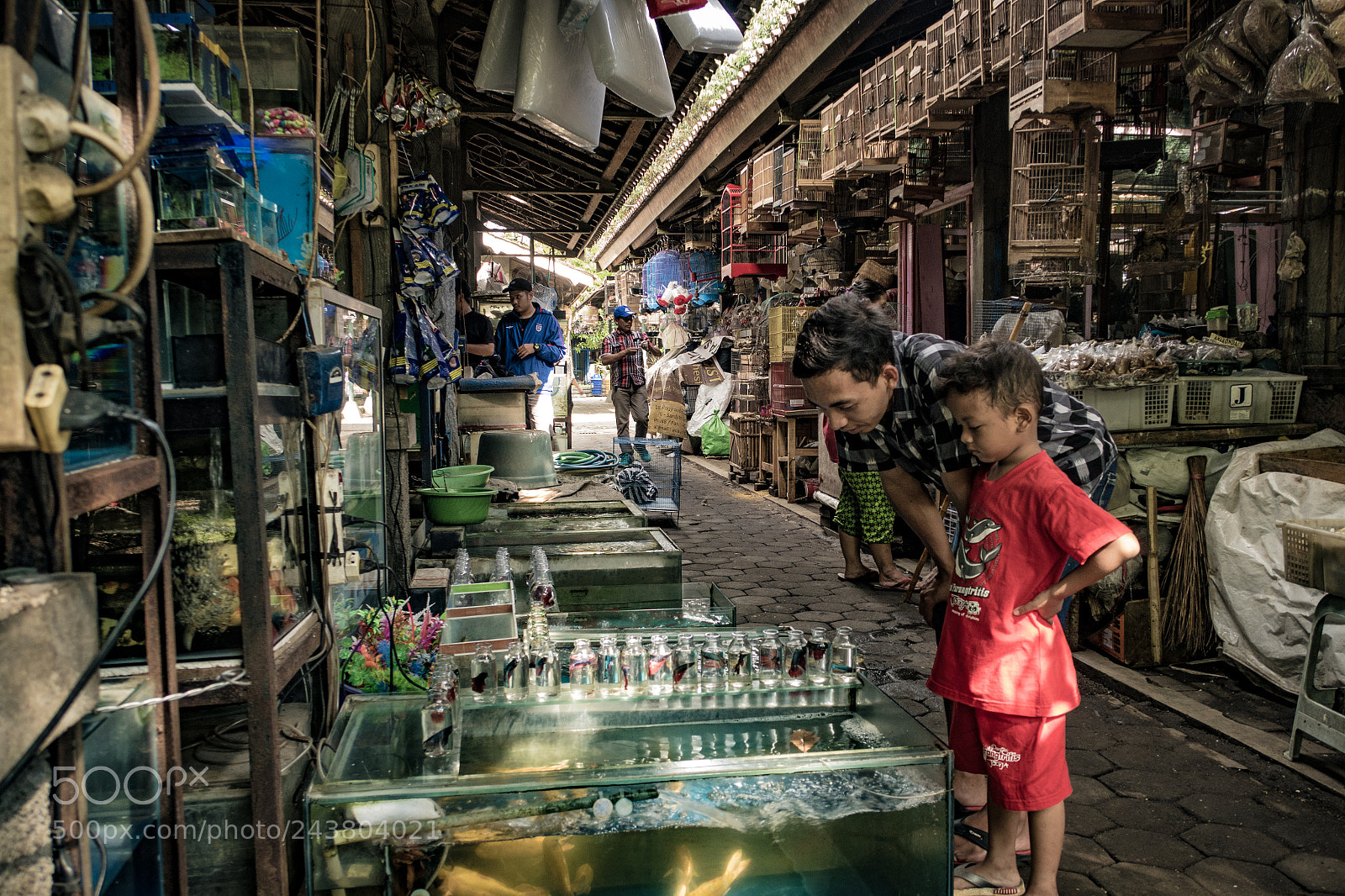 Canon PowerShot G7 X sample photo. Bird market, yogyakarta photography