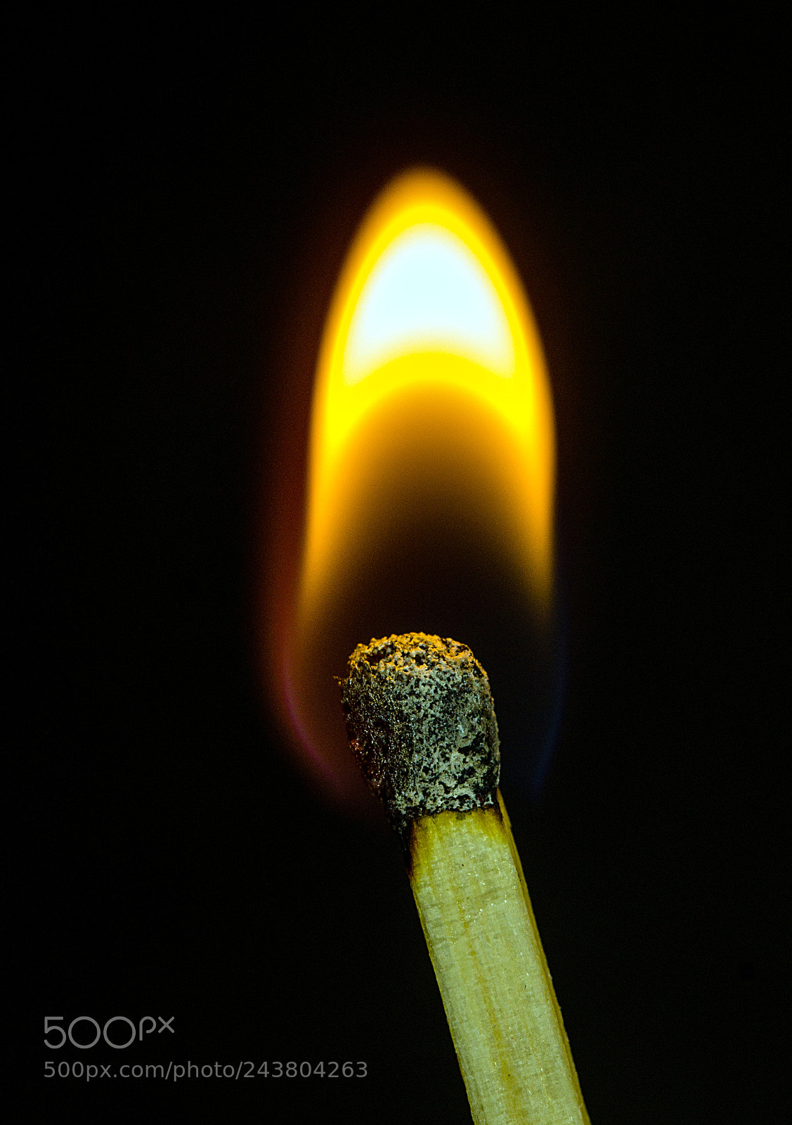 Sony SLT-A77 sample photo. Lighten up photography