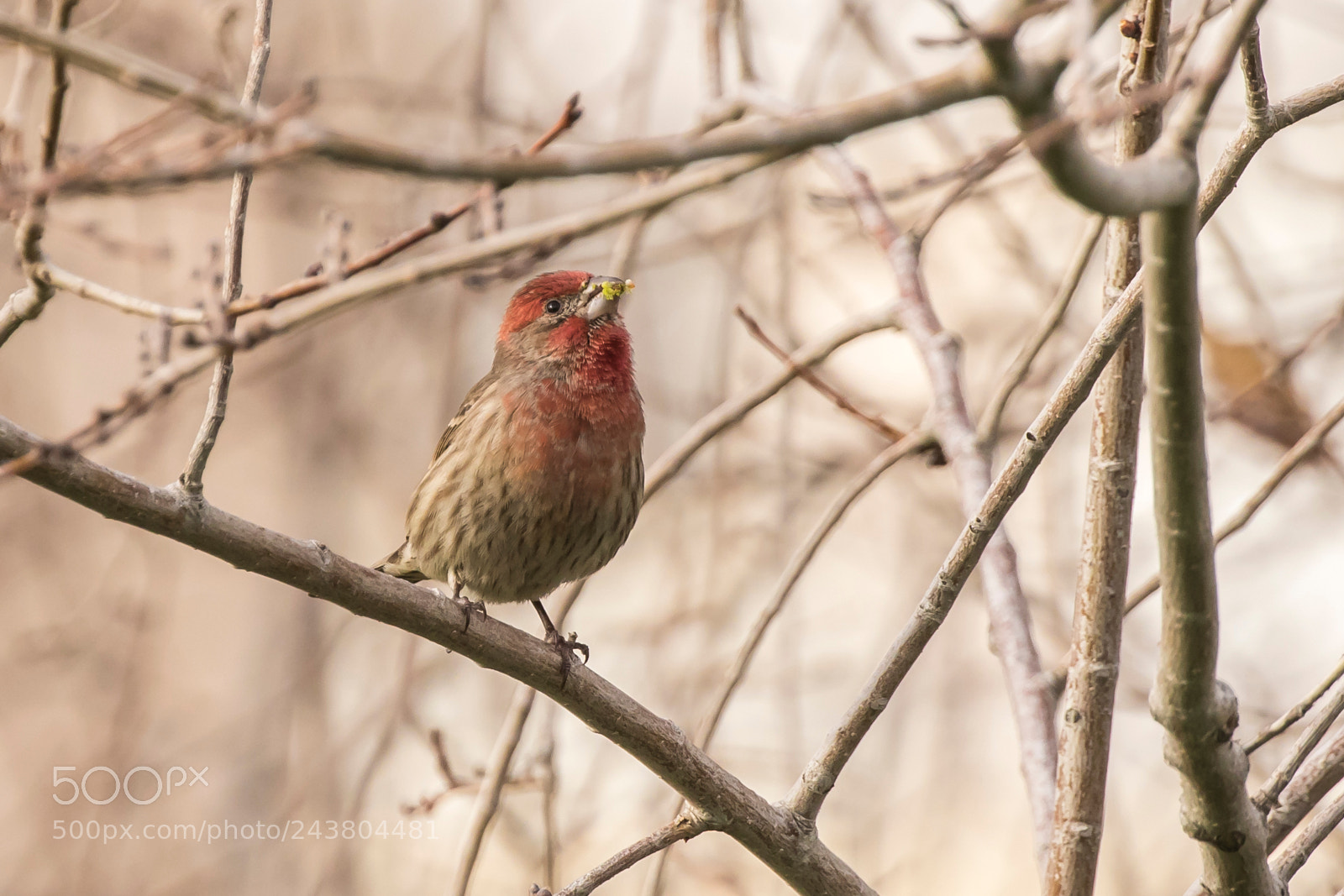 Canon EOS 7D Mark II sample photo. Untitled photography