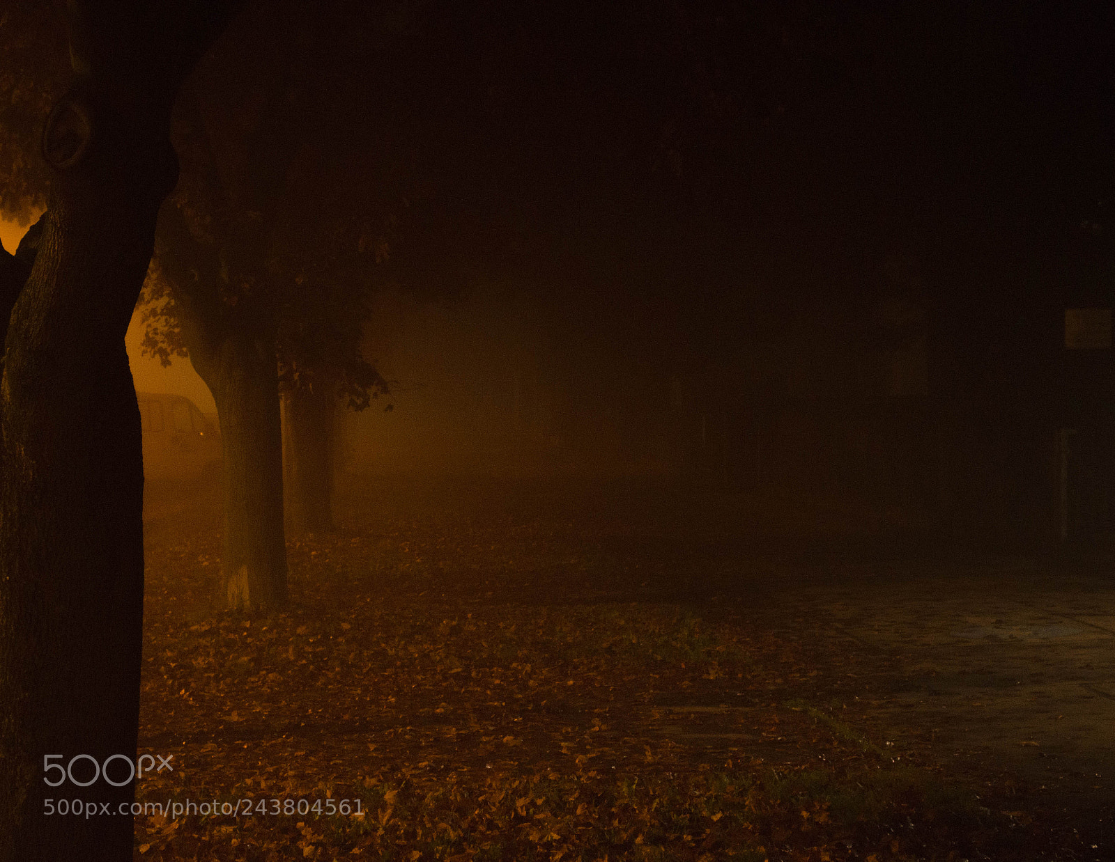 Nikon D5100 sample photo. Radiance photography