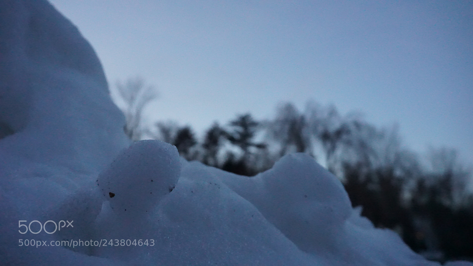 Sony a5100 sample photo. Lrg photography