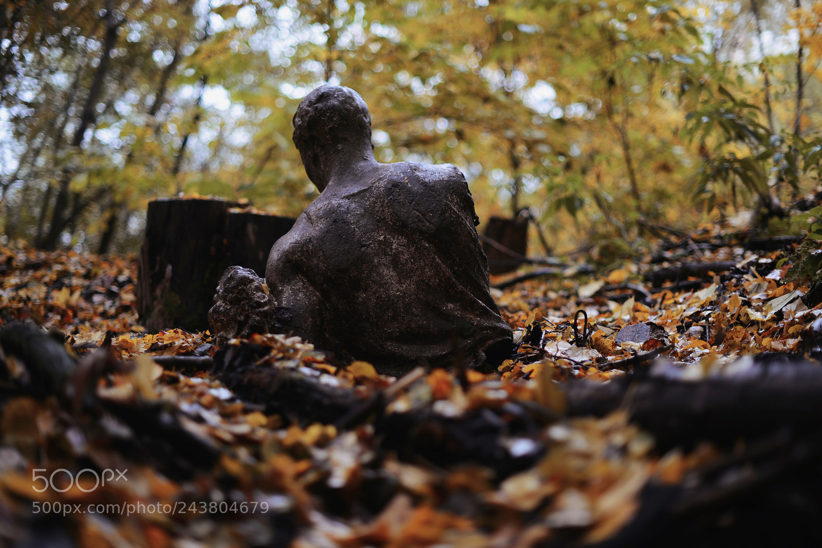 Nikon D800 sample photo. из под земли photography