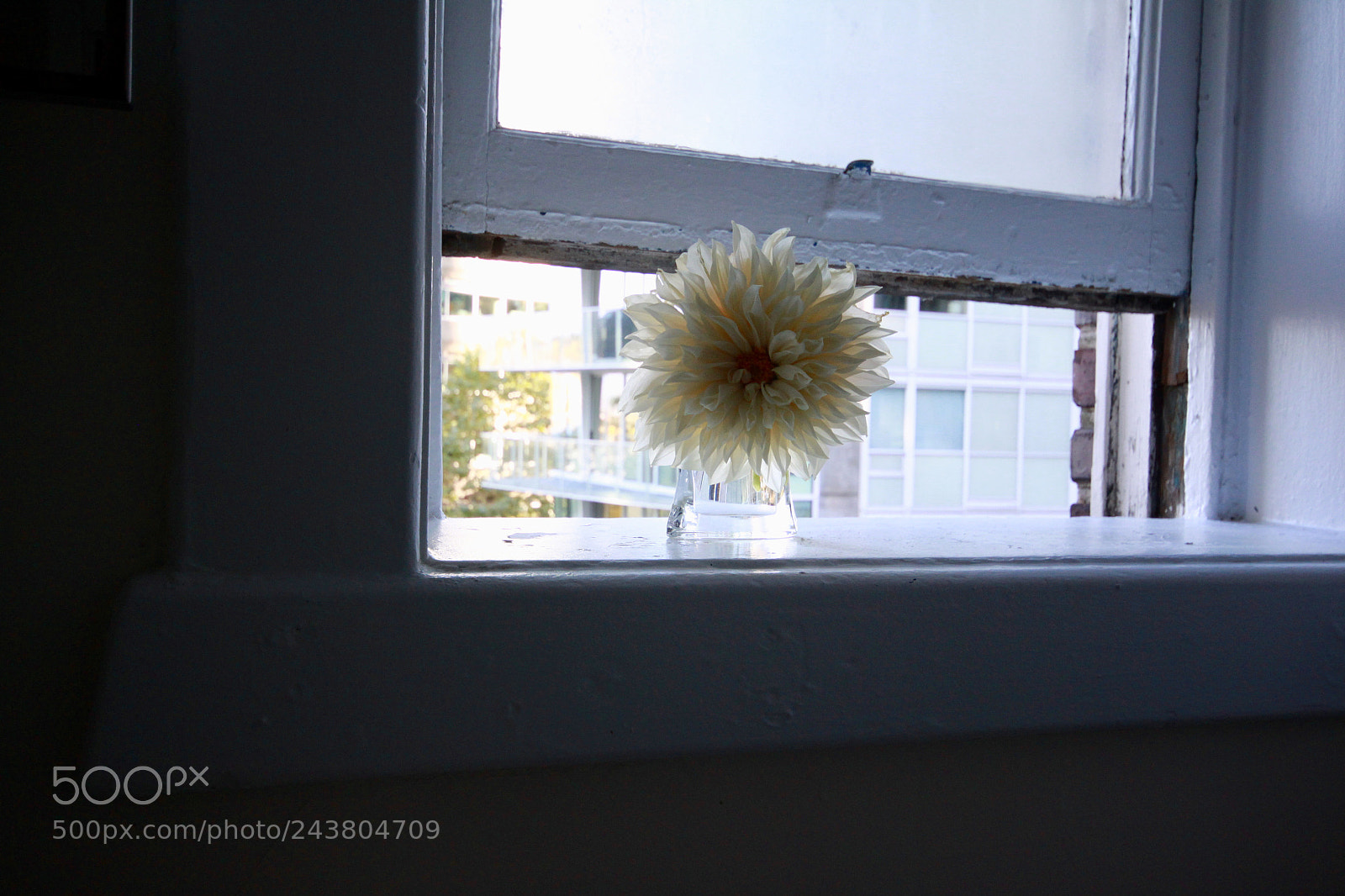 Canon EOS 500D (EOS Rebel T1i / EOS Kiss X3) sample photo. Bathroom window in the photography