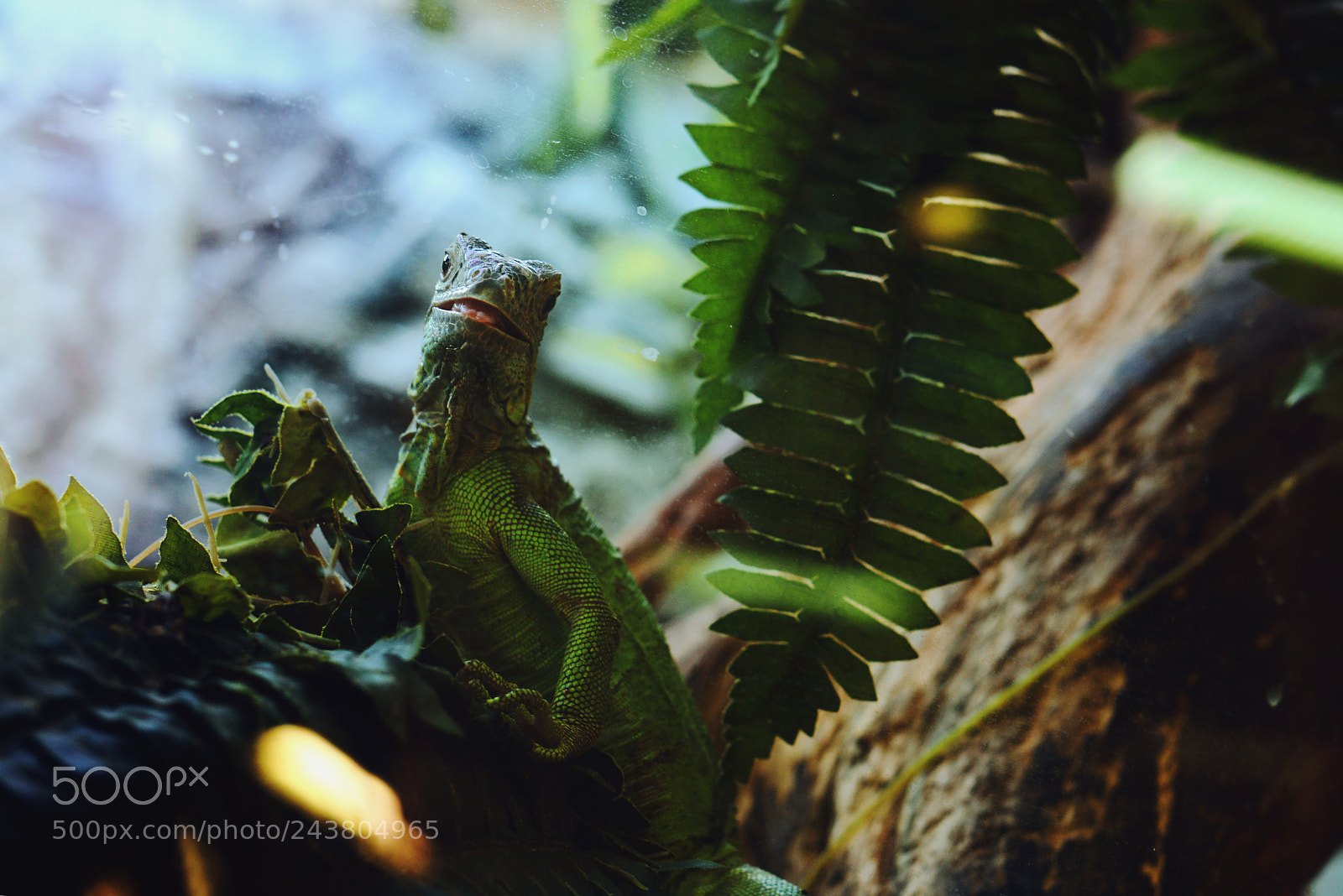 Nikon D800 sample photo. Wazzzaaappp photography