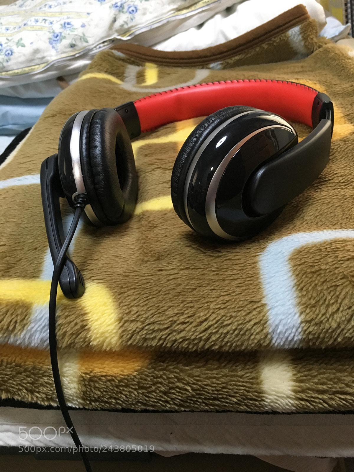 Apple iPhone 6s sample photo. This is a microphone photography