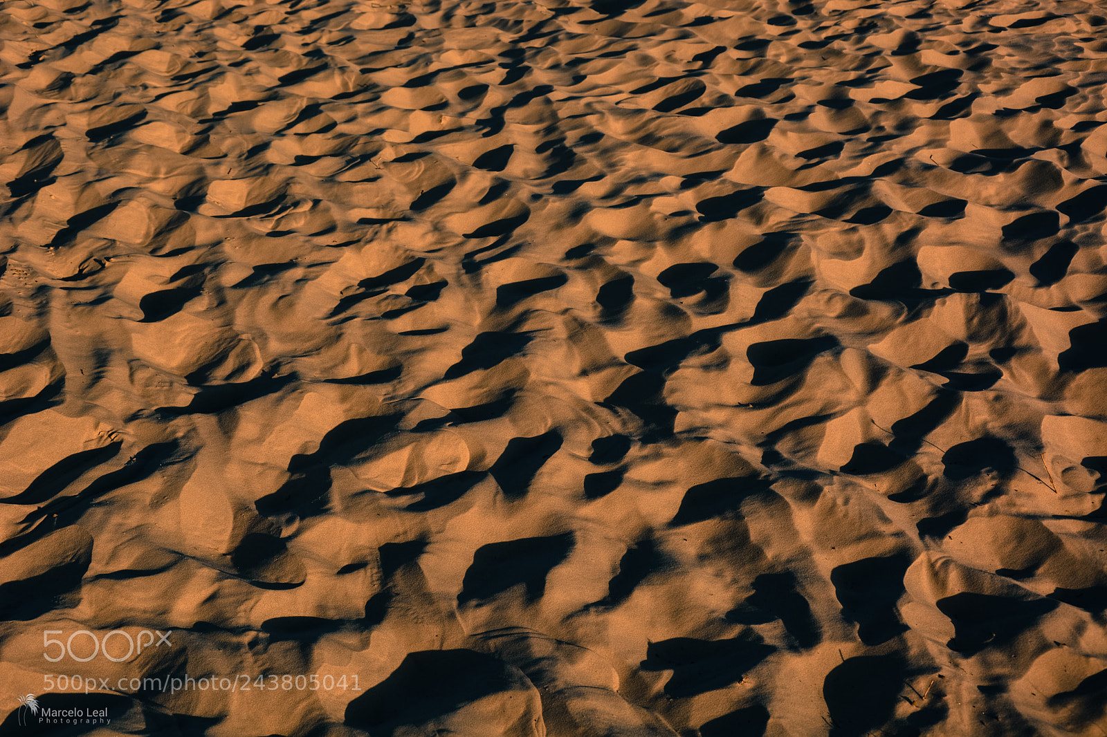 Nikon D7100 sample photo. Fragments of nature - 7 photography