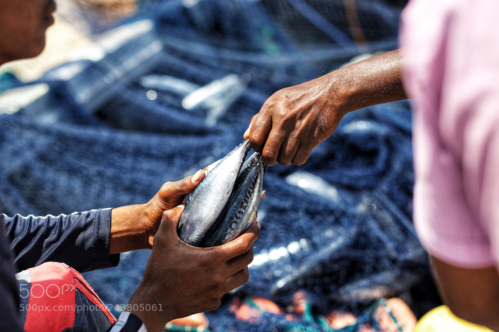 Canon EOS-1D Mark III sample photo. Exchange between two fishermen photography