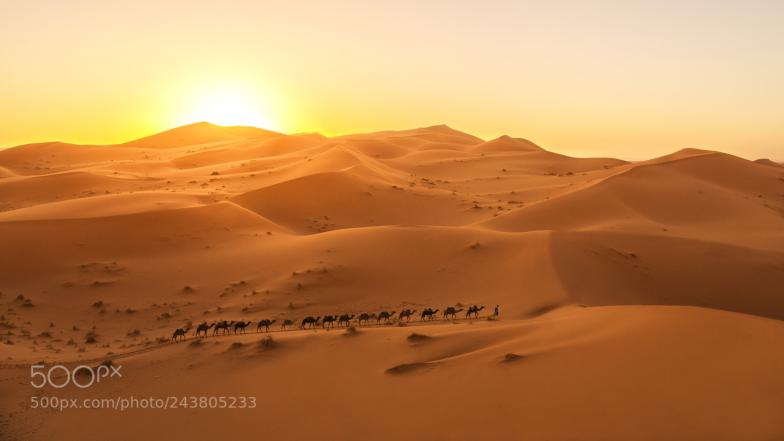 Nikon D600 sample photo. Sahara photography