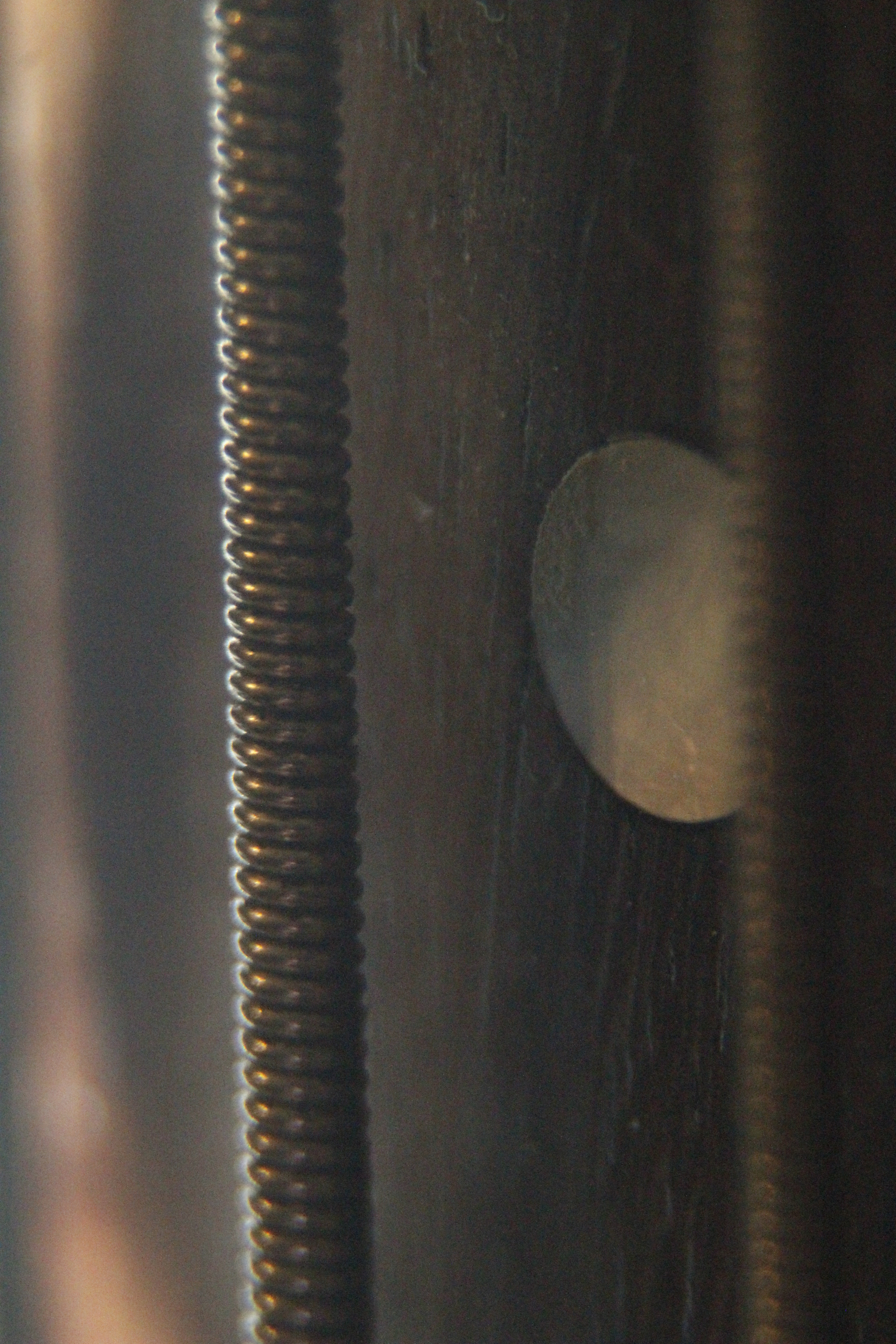 Canon EF 35-80mm f/4-5.6 sample photo. Bass photography