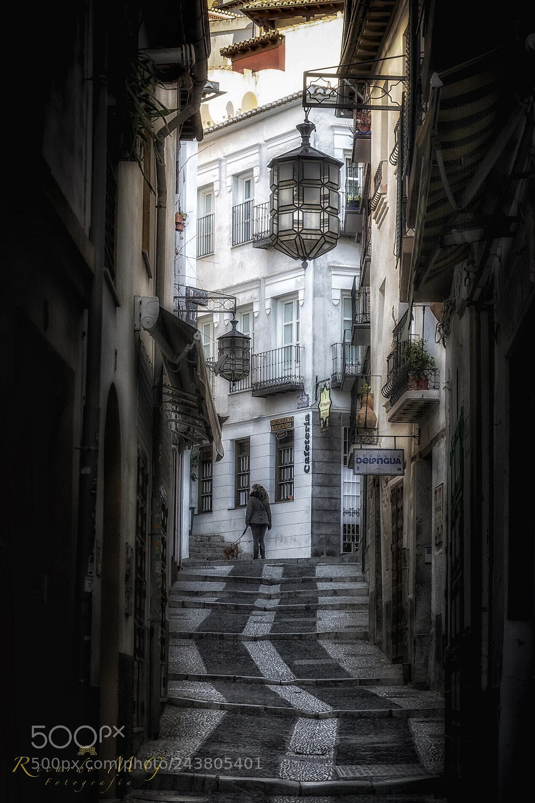 Nikon D7100 sample photo. Paseando por el albaic photography