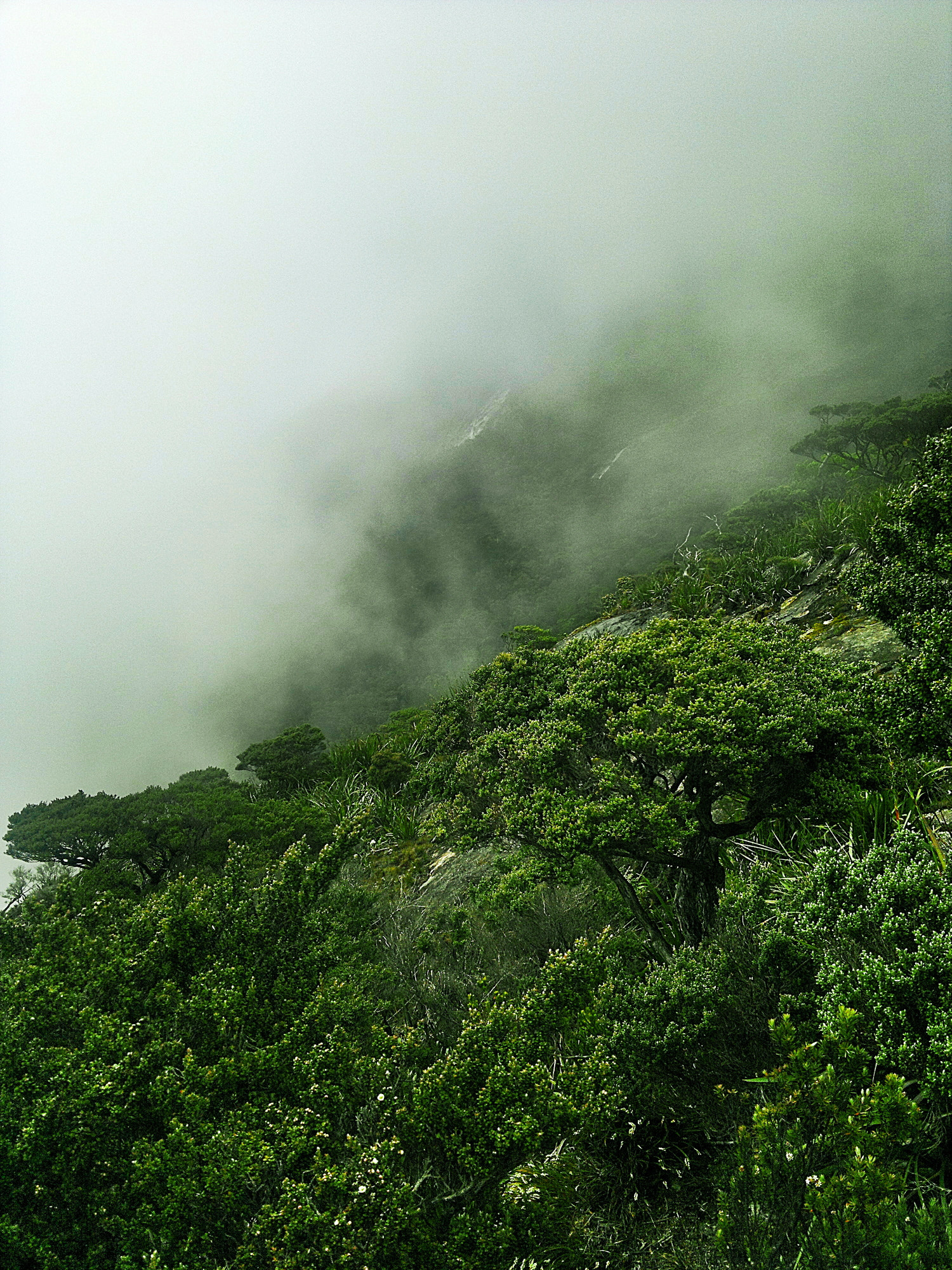 Nokia N8-00 sample photo. When mist comes photography