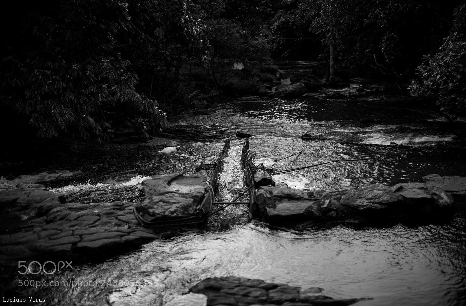 Nikon D610 sample photo. Barreia photography