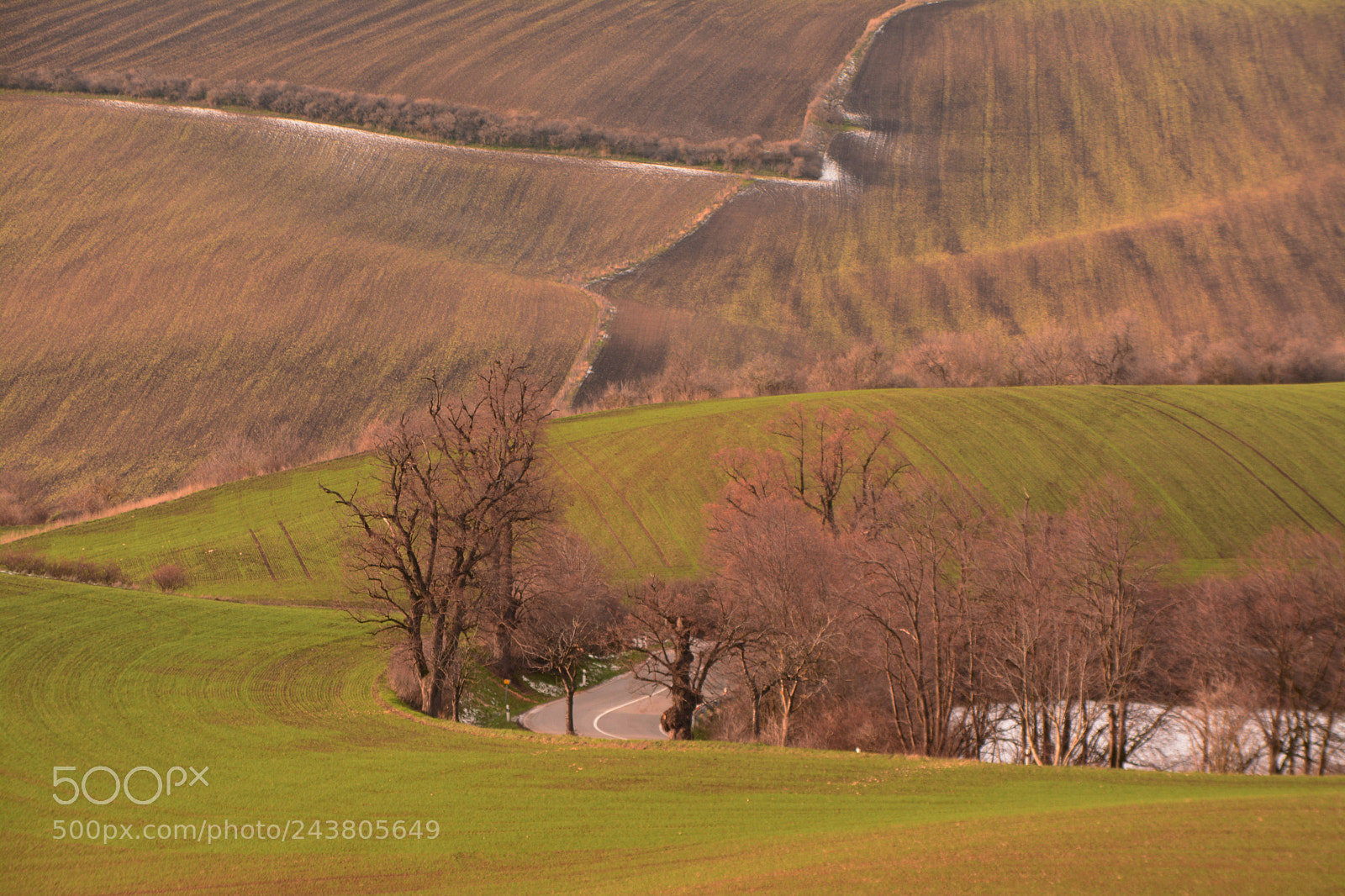 Nikon D7100 sample photo. South morava photography