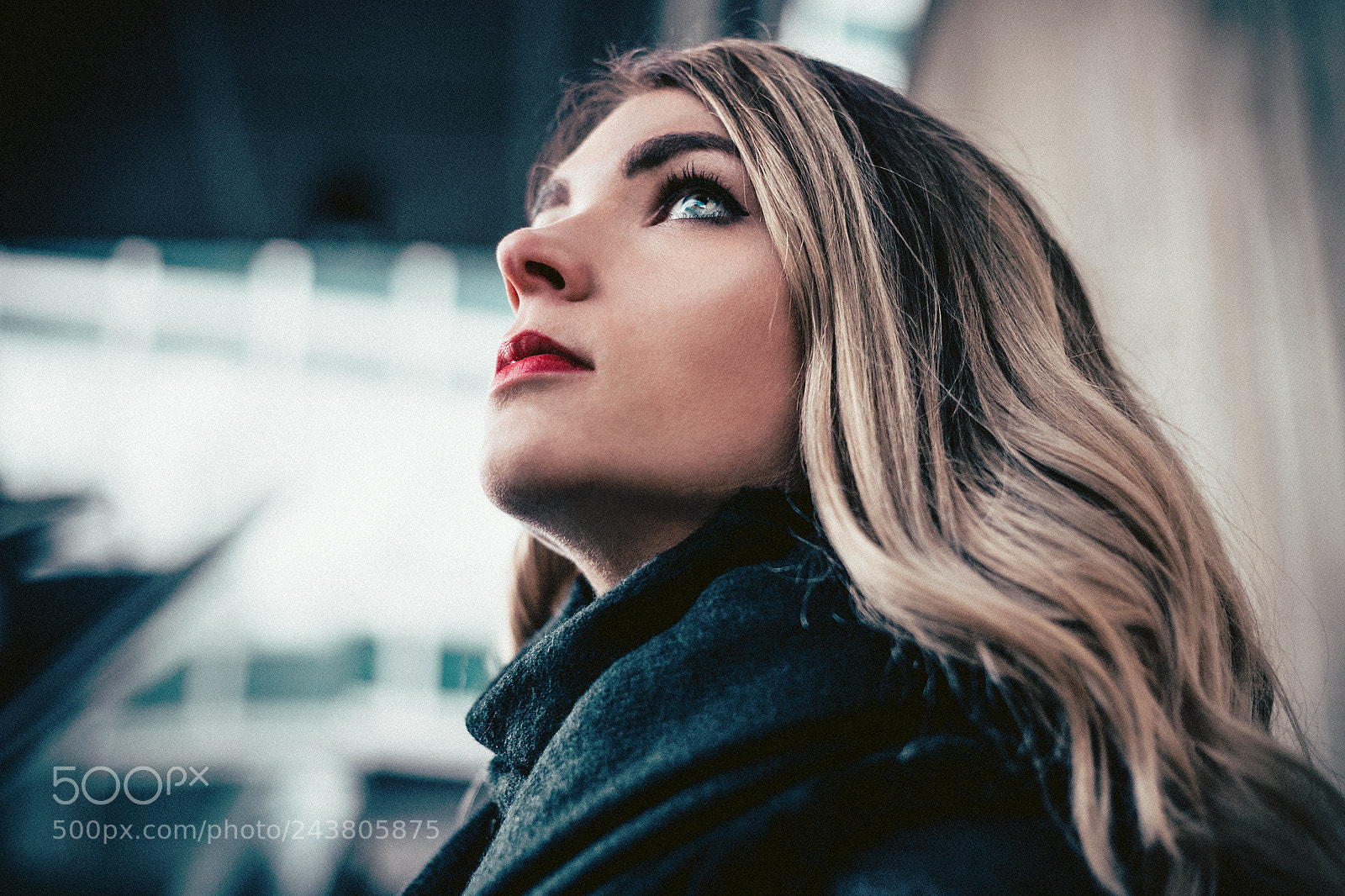Sony a7 II sample photo. Stay curious photography