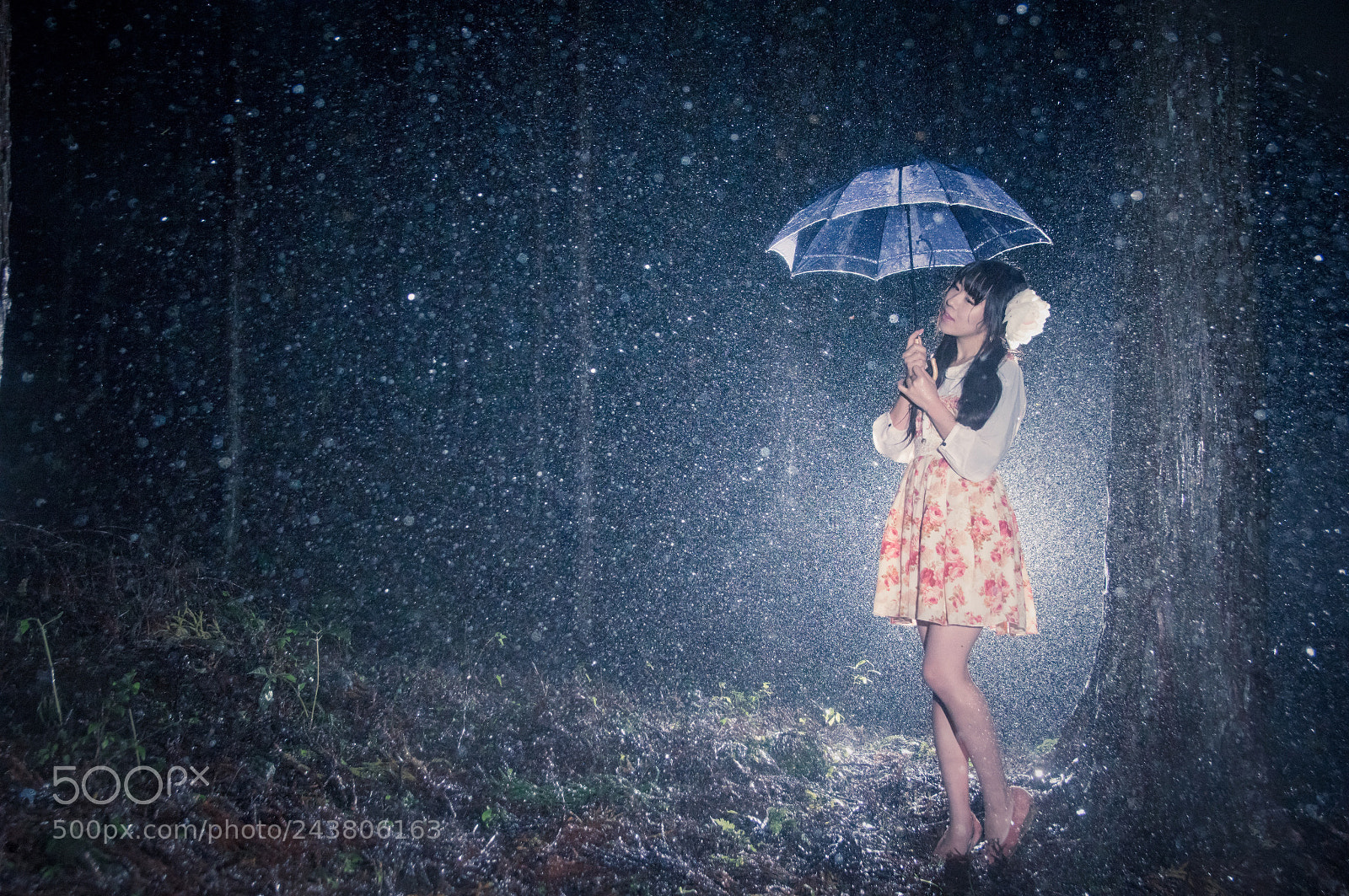 Pentax K-3 sample photo. 【雨ん子物語.7】 photography