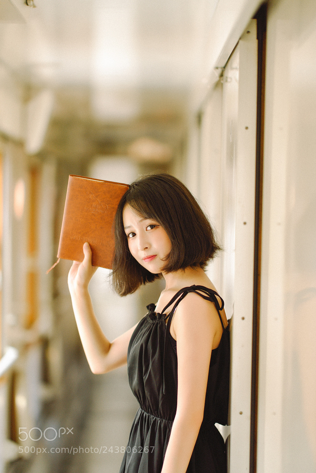 Nikon D810 sample photo. Train photography