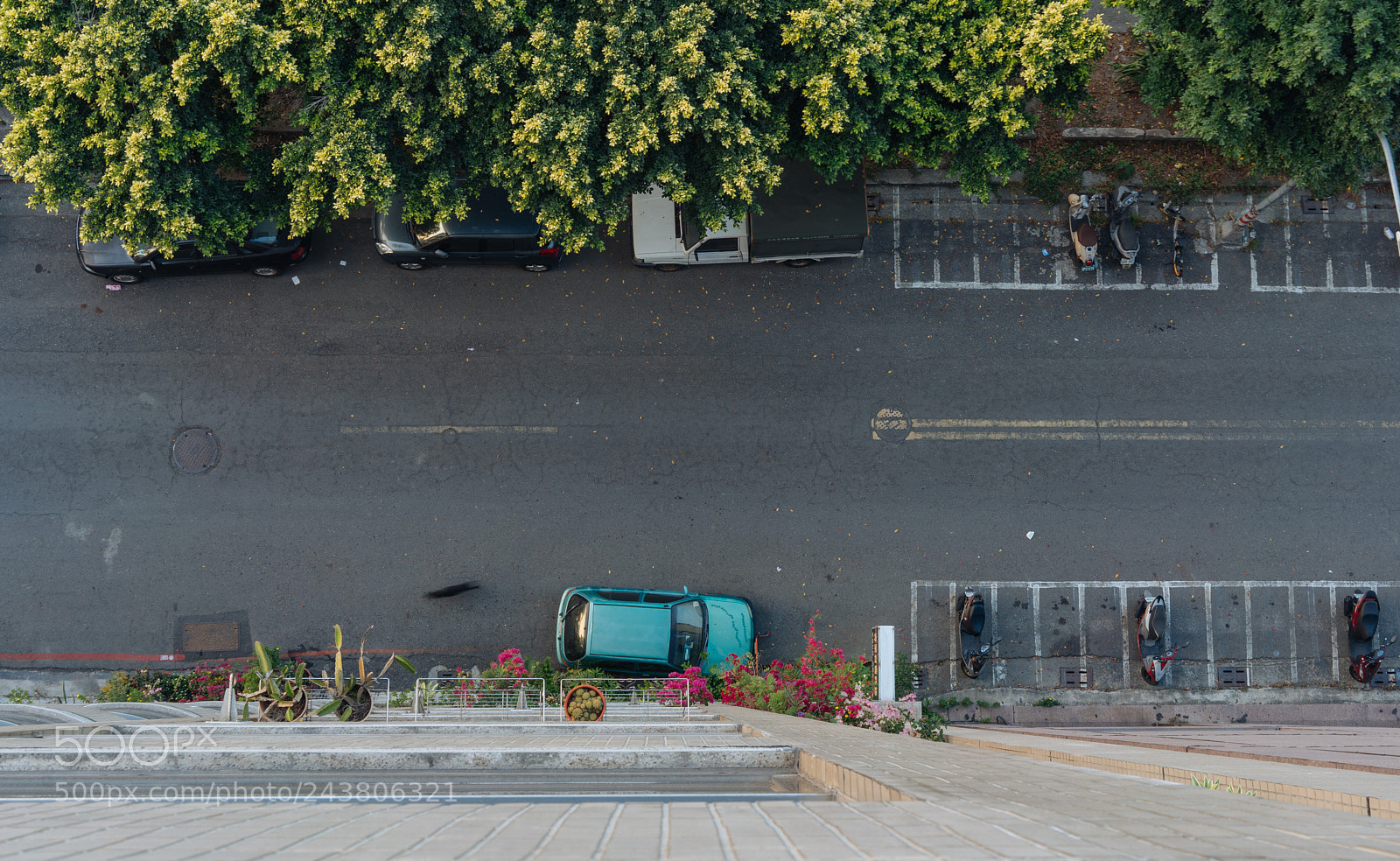 Sony a7R III sample photo. Top down photography