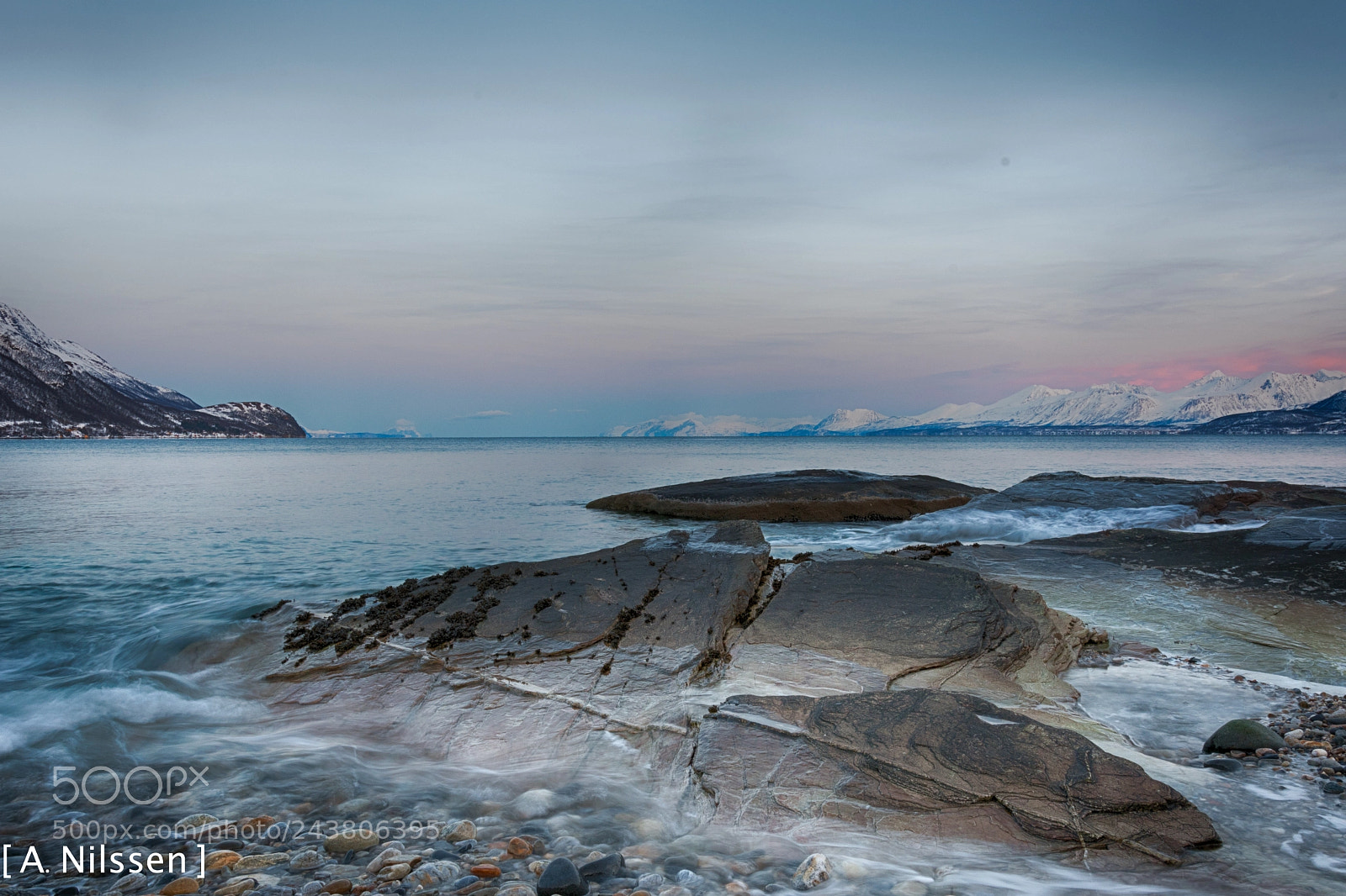 Nikon D500 sample photo. Oldervika photography