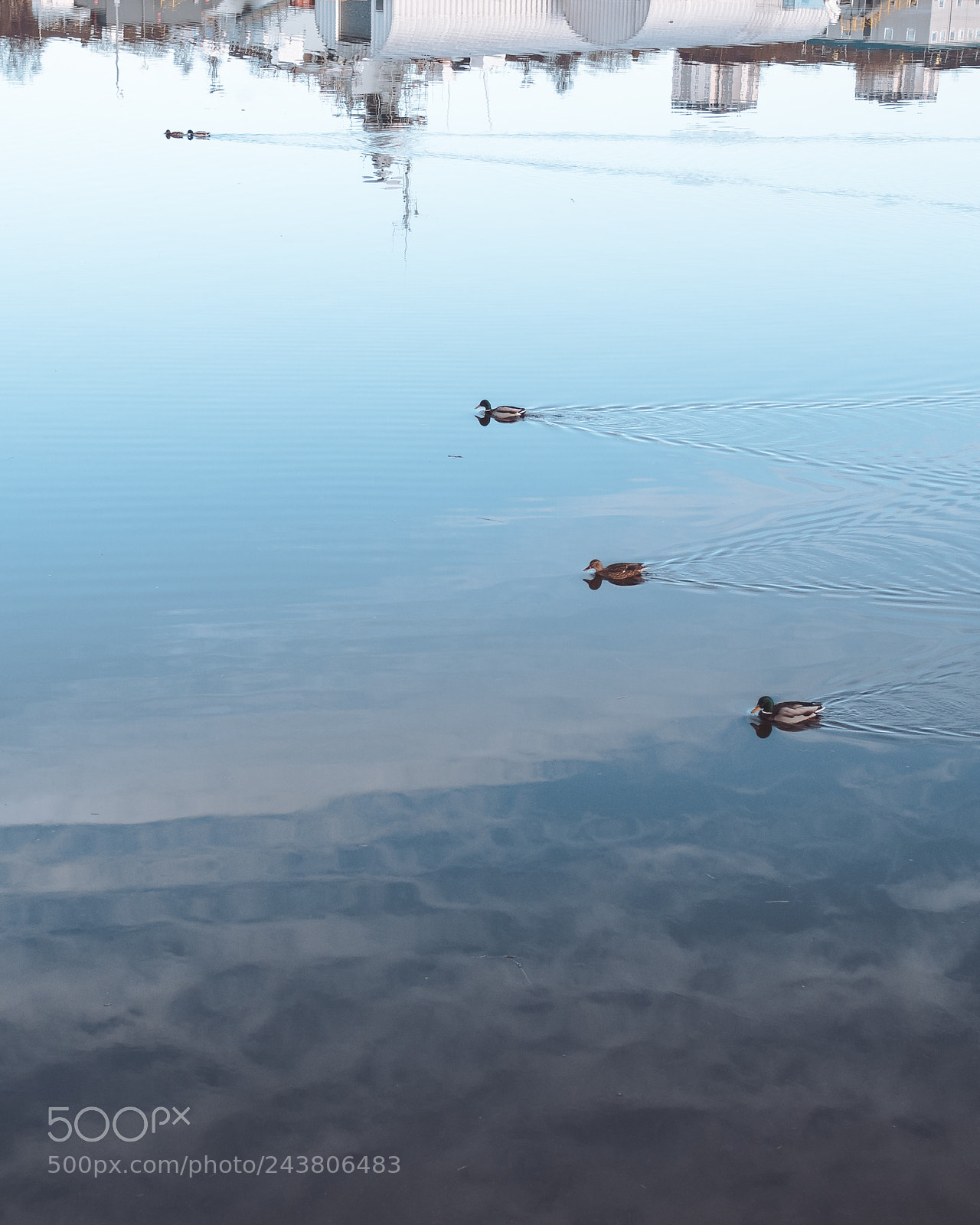Olympus OM-D E-M5 II sample photo. Reflecting photography