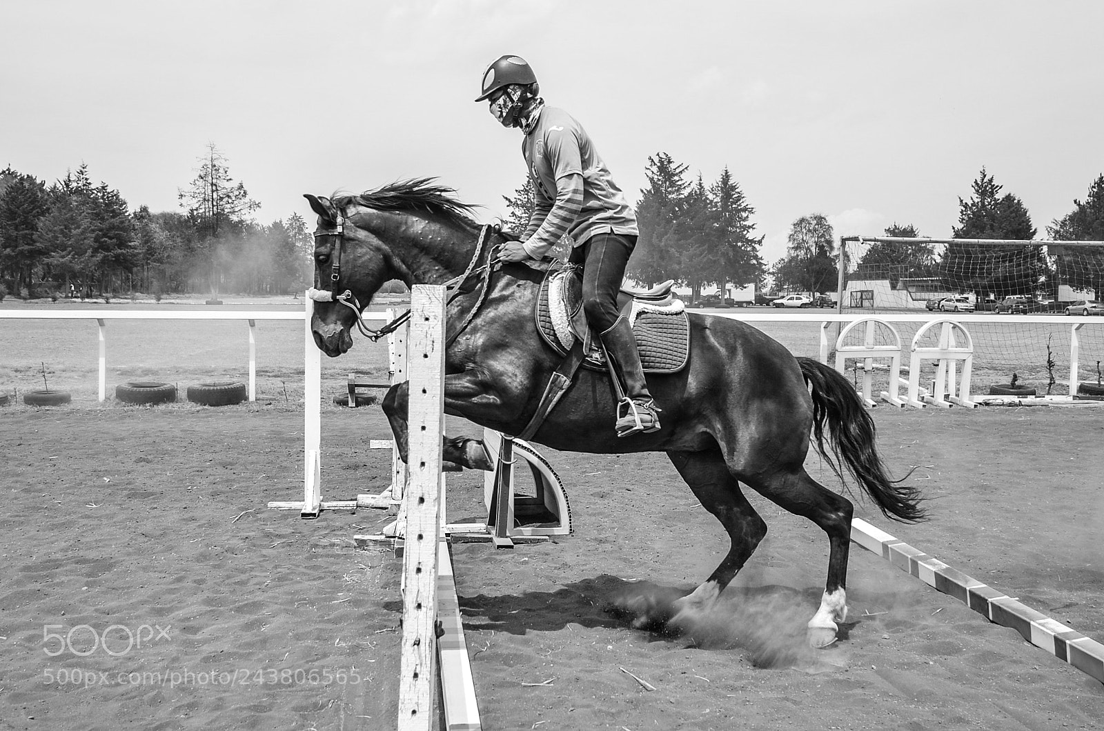 Nikon D5100 sample photo. Equino photography