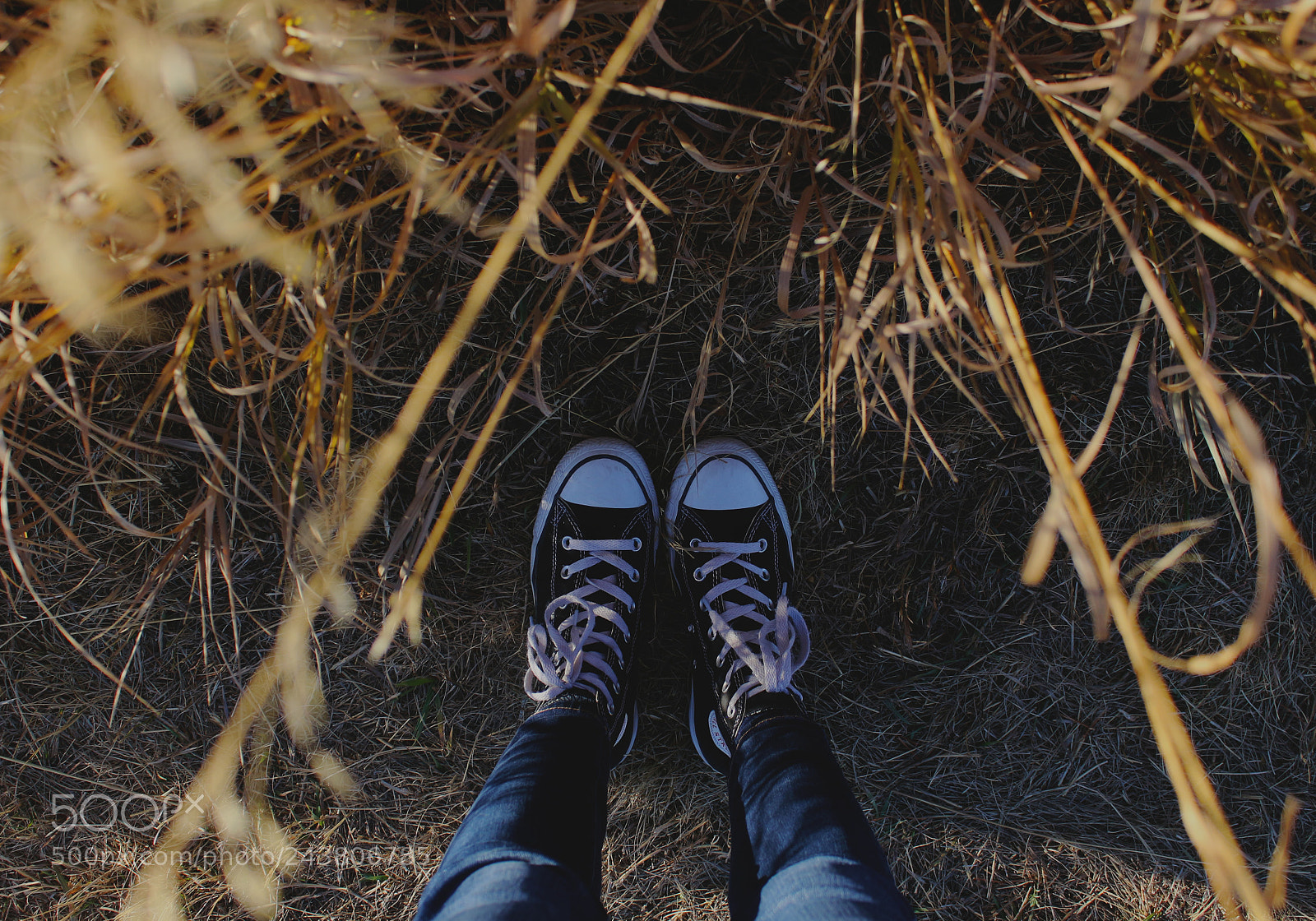 Canon EOS 100D (EOS Rebel SL1 / EOS Kiss X7) sample photo. Nothing else but his photography