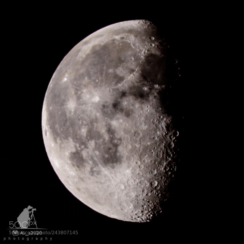 Nikon D7200 sample photo. The moon photography