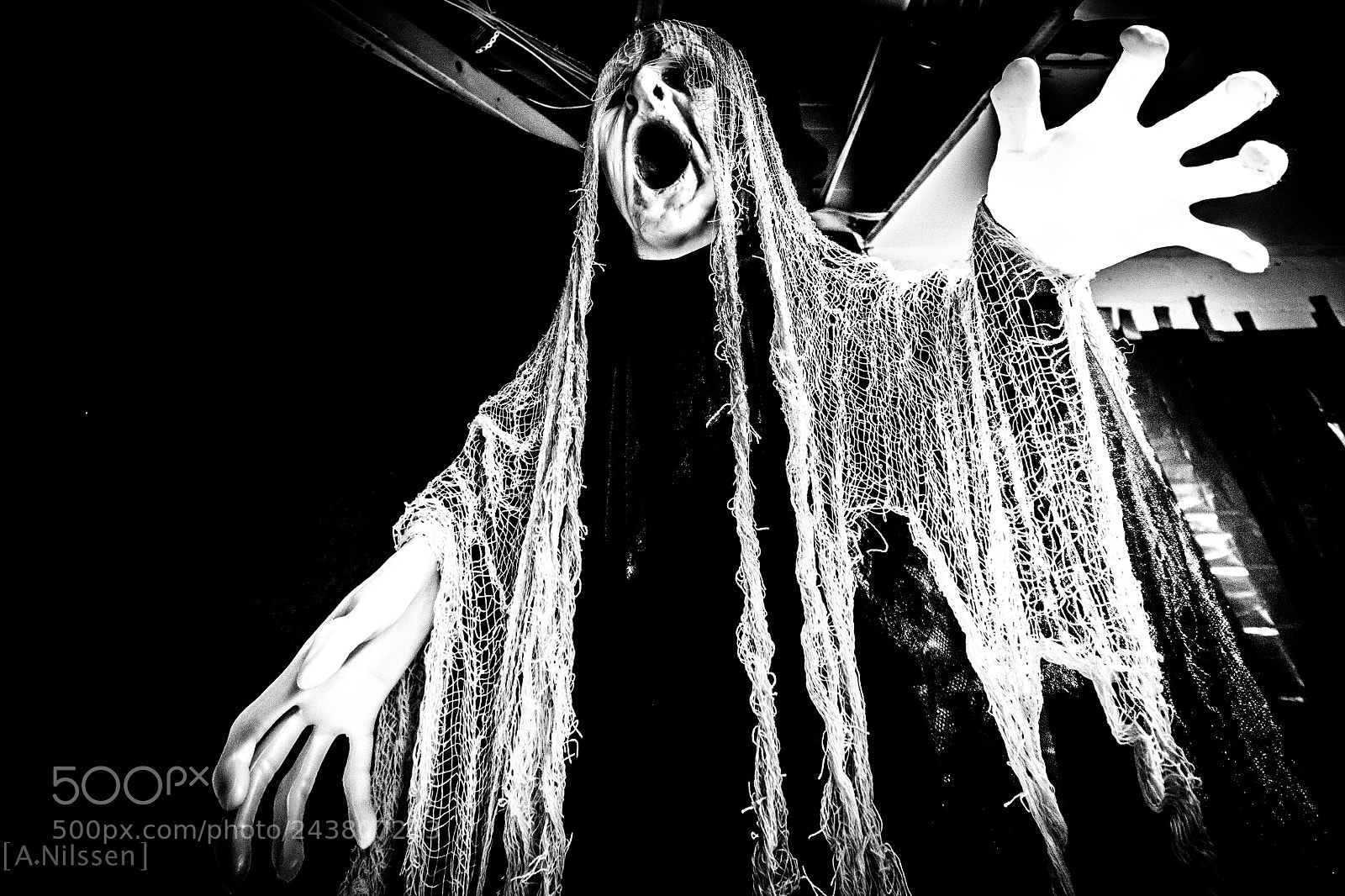 Nikon D7100 sample photo. Nightmare photography