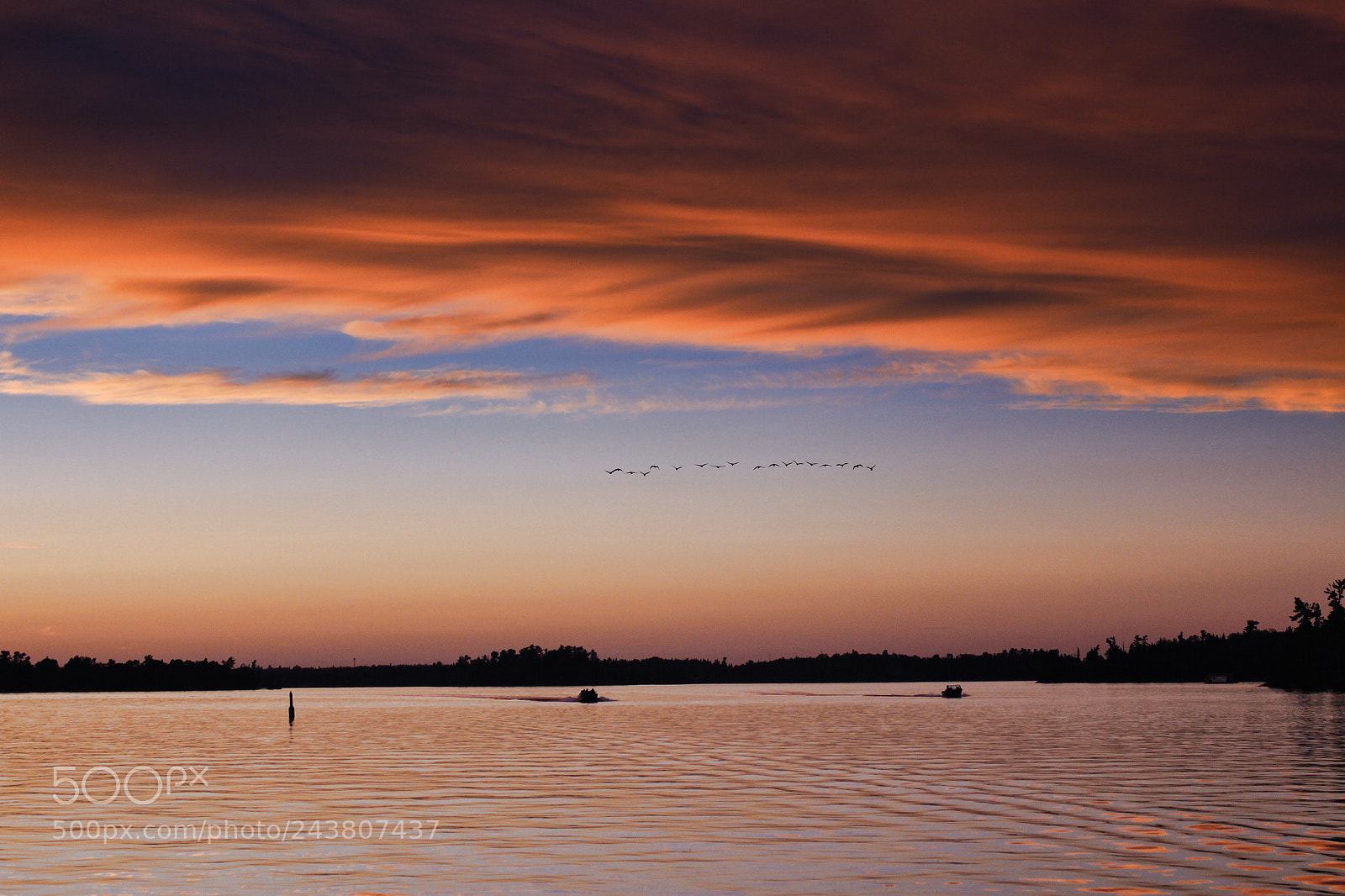 Canon EOS 700D (EOS Rebel T5i / EOS Kiss X7i) sample photo. Birds and boats photography