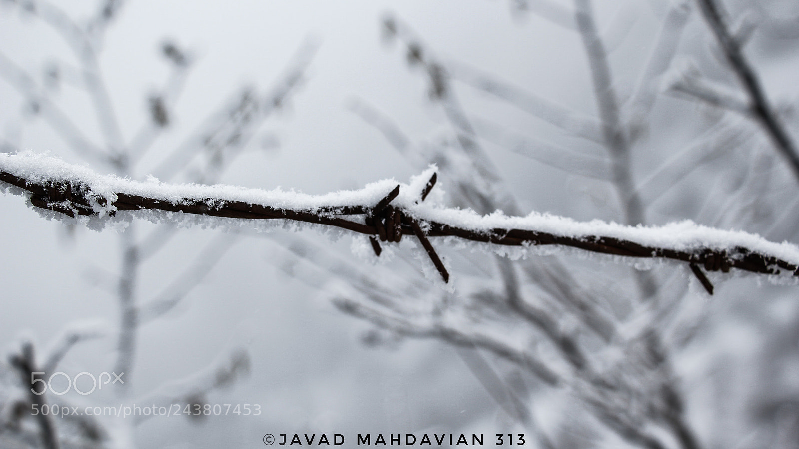 Canon EOS 60D sample photo. Fence photography