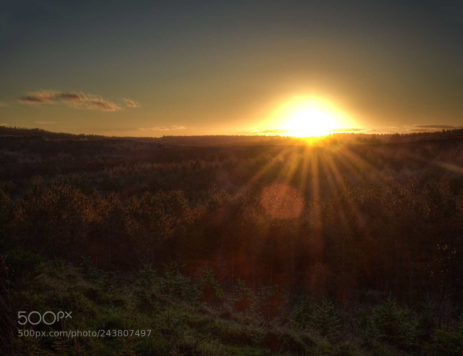 Nikon D3400 sample photo. Cannock chase sunset photography