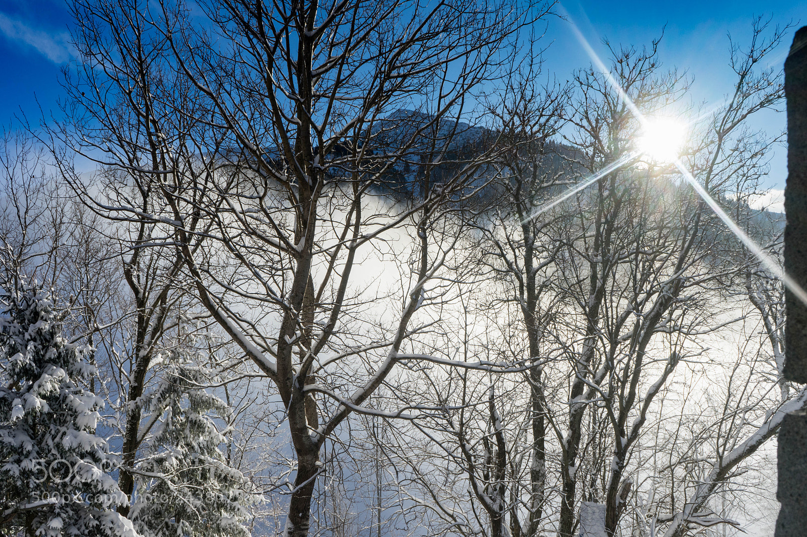 Sony a7 sample photo. Morning sun and mist photography