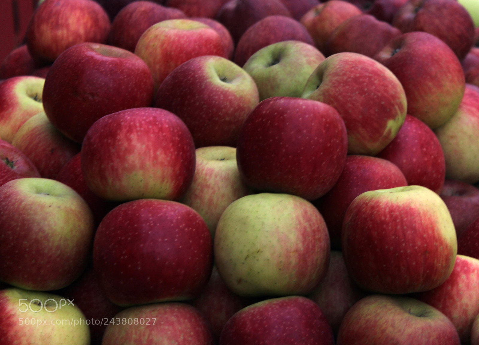 Canon EF-S 18-55mm F3.5-5.6 III sample photo. Apple photography