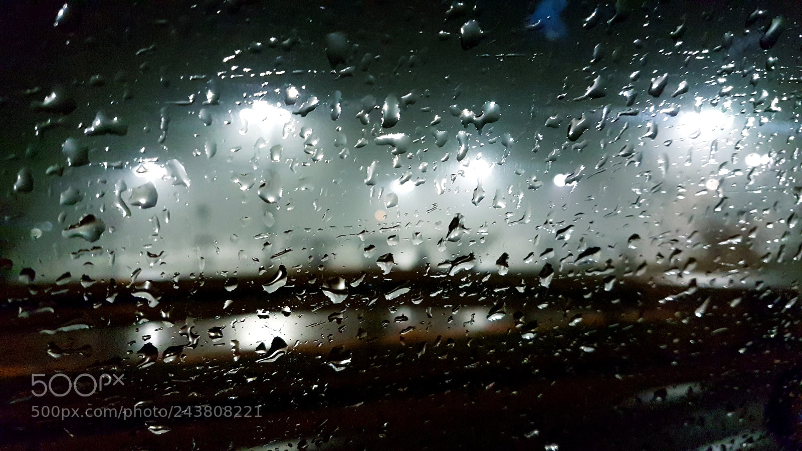 Samsung Galaxy S7 Edge sample photo. Fog in the rain photography