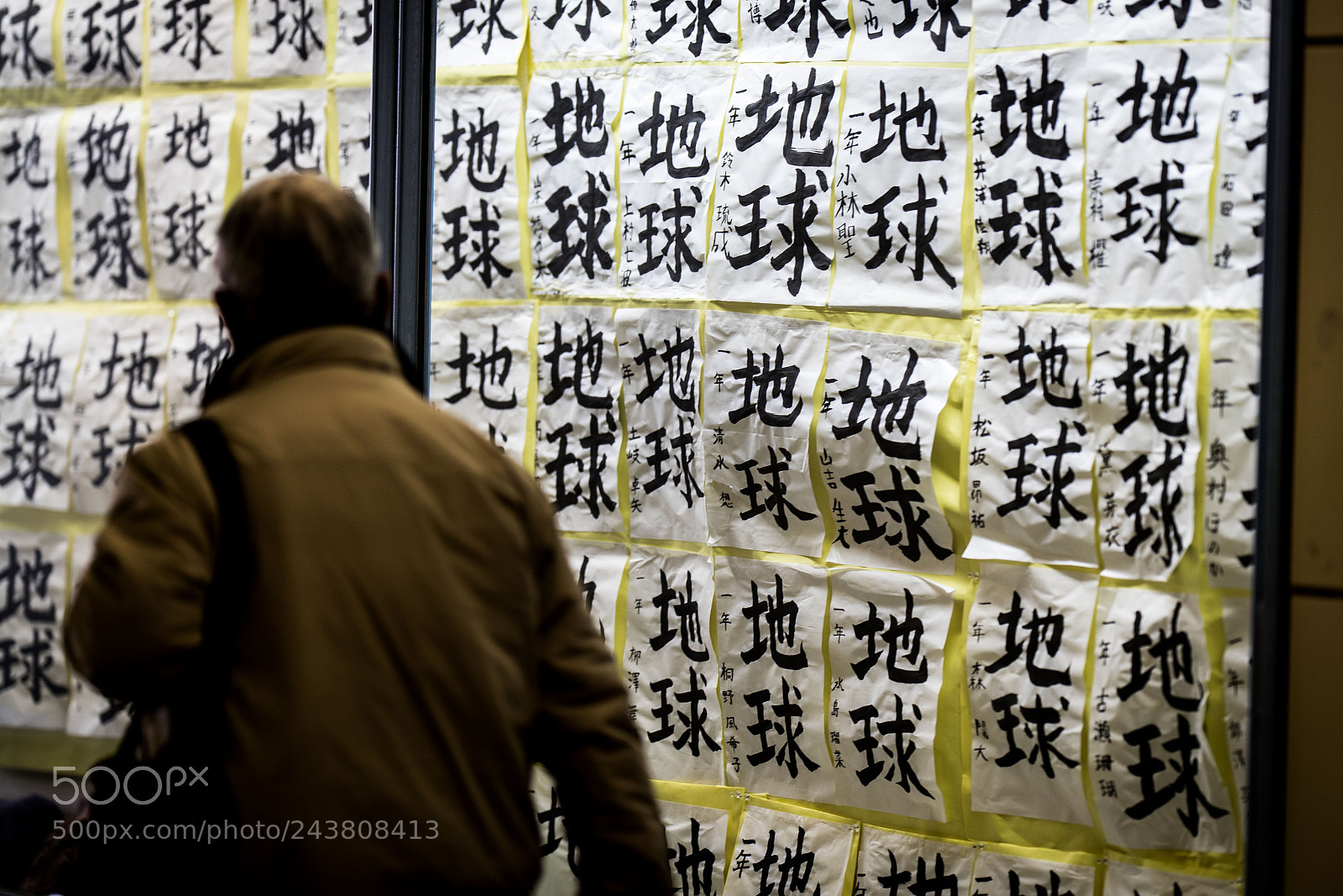 Canon EOS-1D X Mark II sample photo. Shodou photography