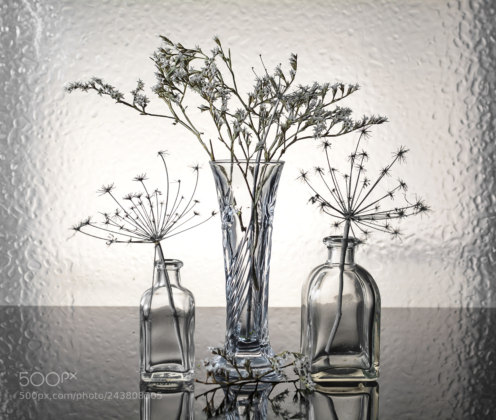 Nikon D7100 sample photo. Still life photography