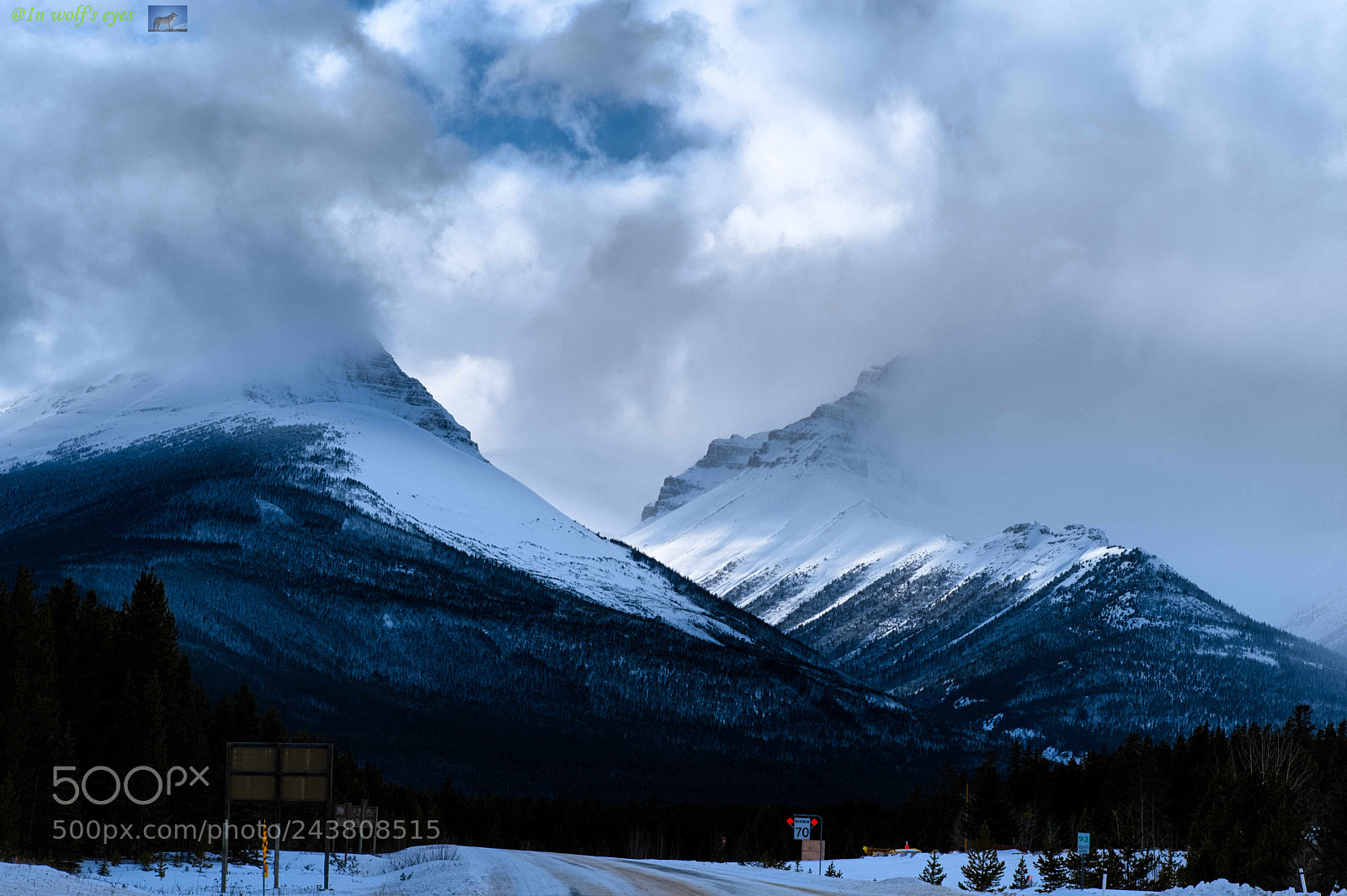Nikon D500 sample photo. Maintain high, canada photography