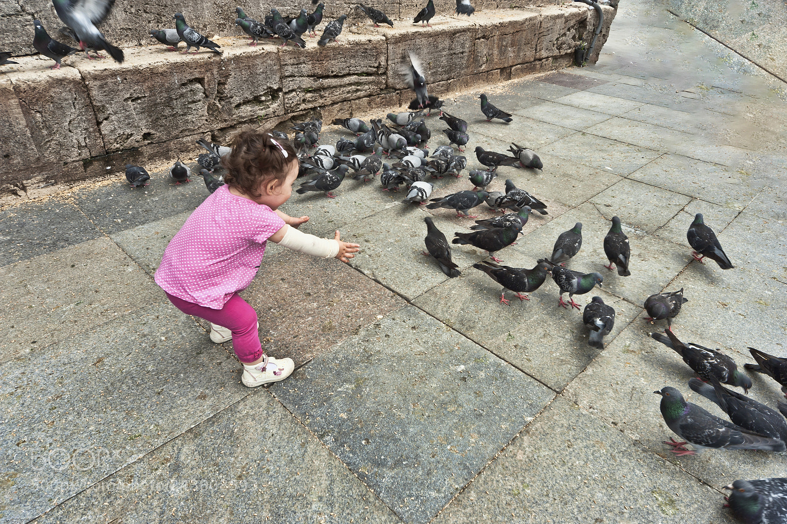 Nikon D700 sample photo. The love ... photography