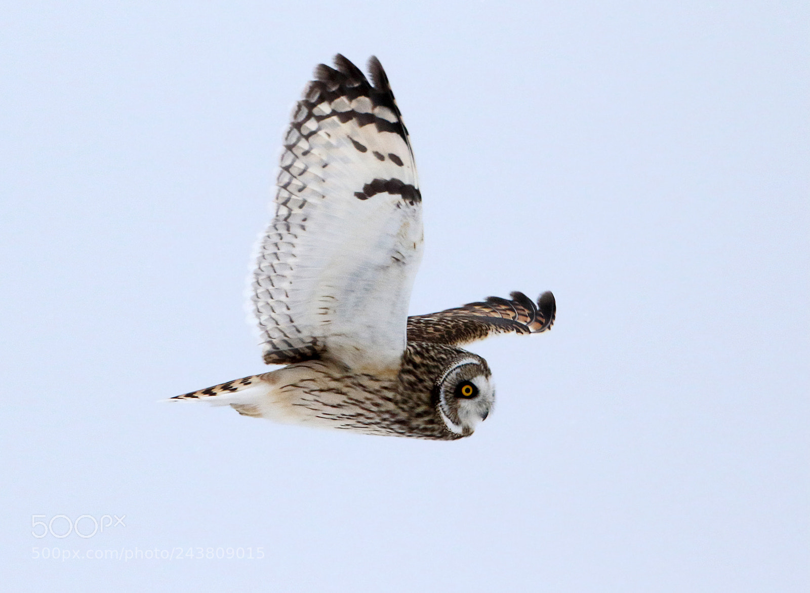 Canon EOS 7D Mark II sample photo. Flight path photography