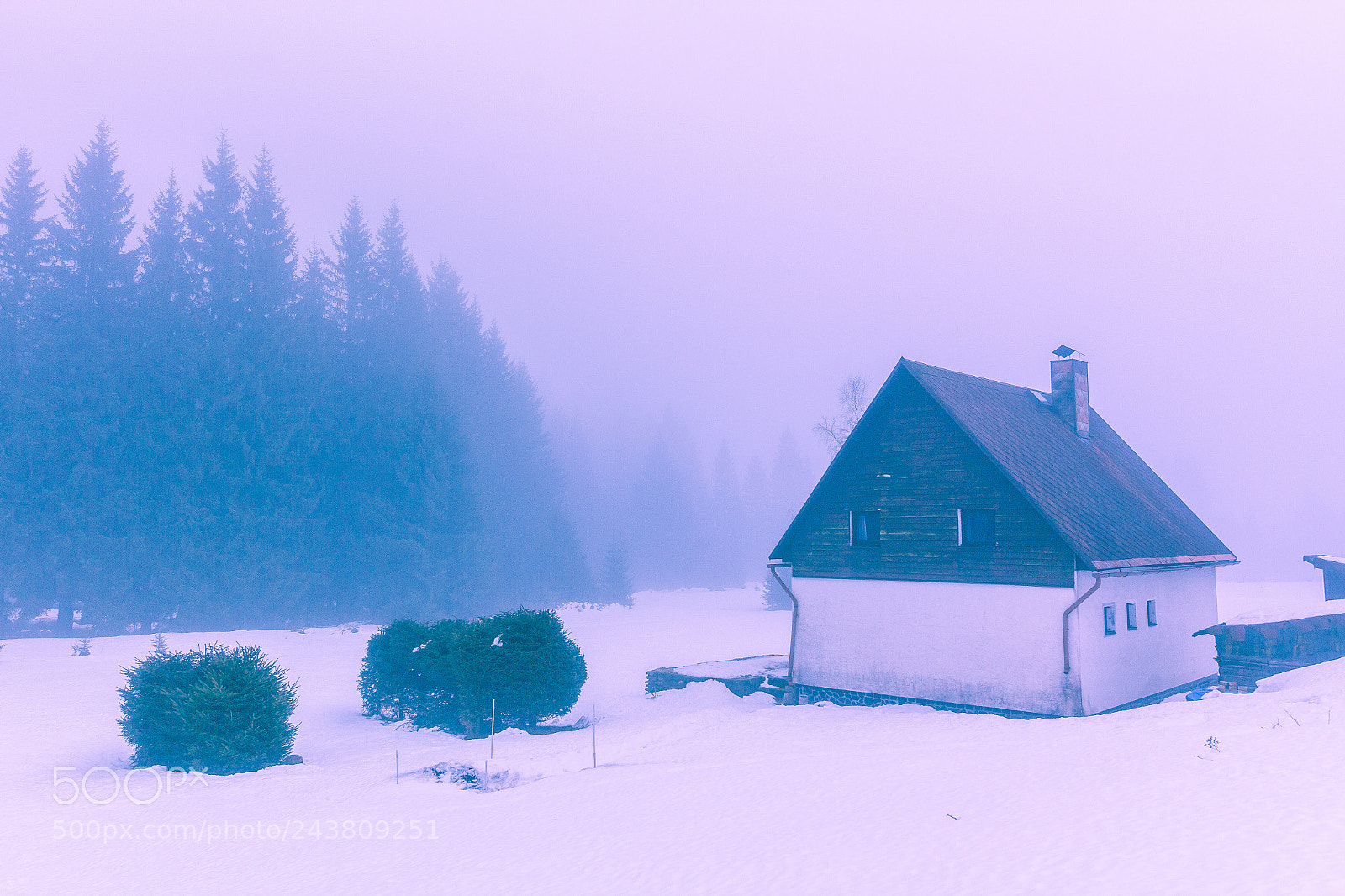 Canon EOS 60D sample photo. Little house photography