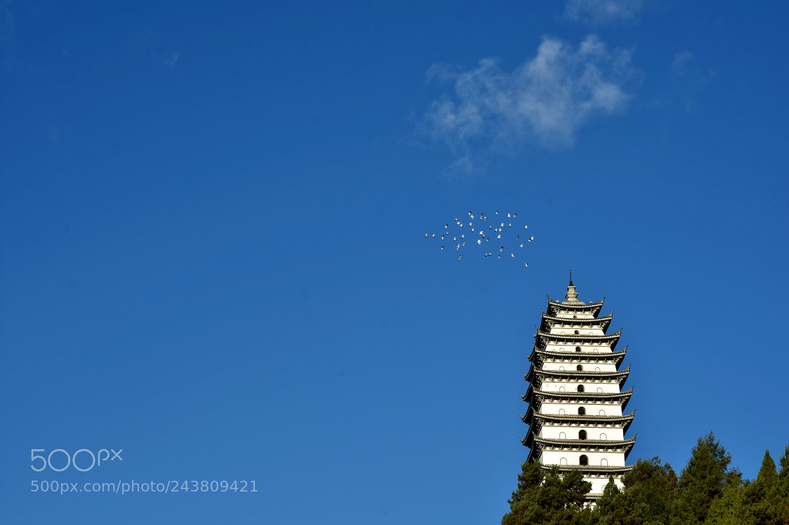 Nikon D7200 sample photo. Pagoda photography