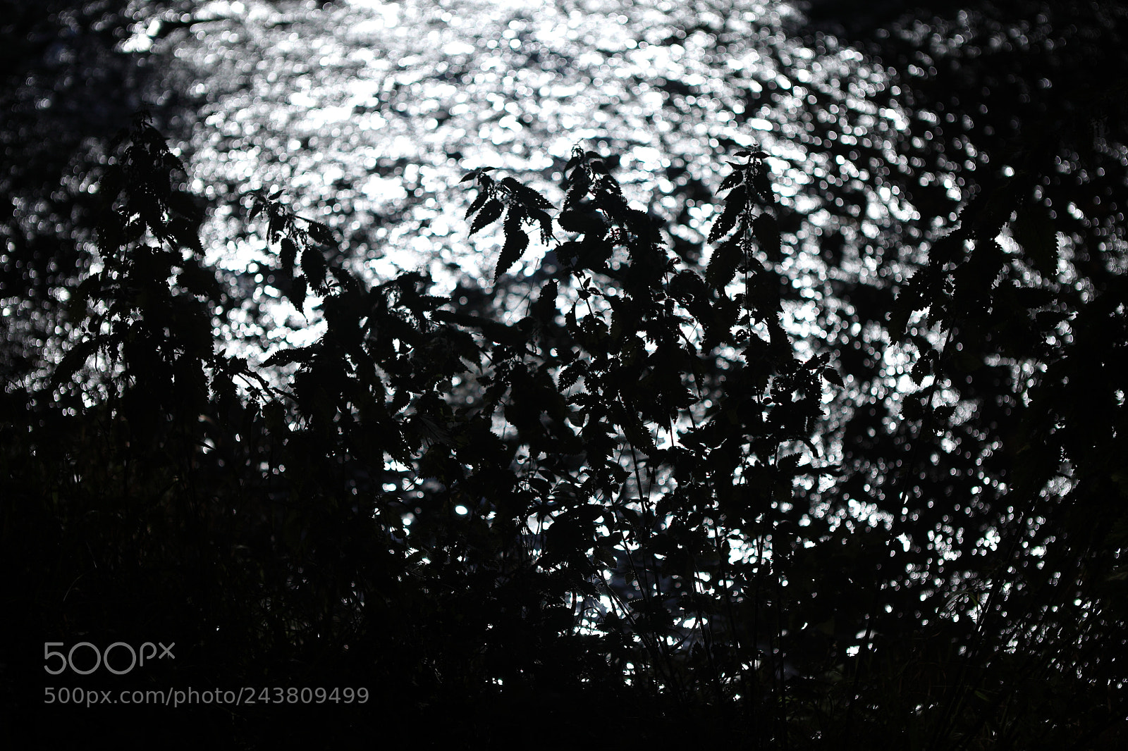 Canon EF 24-70mm F2.8L USM sample photo. Lavaudieu, auvergne photography