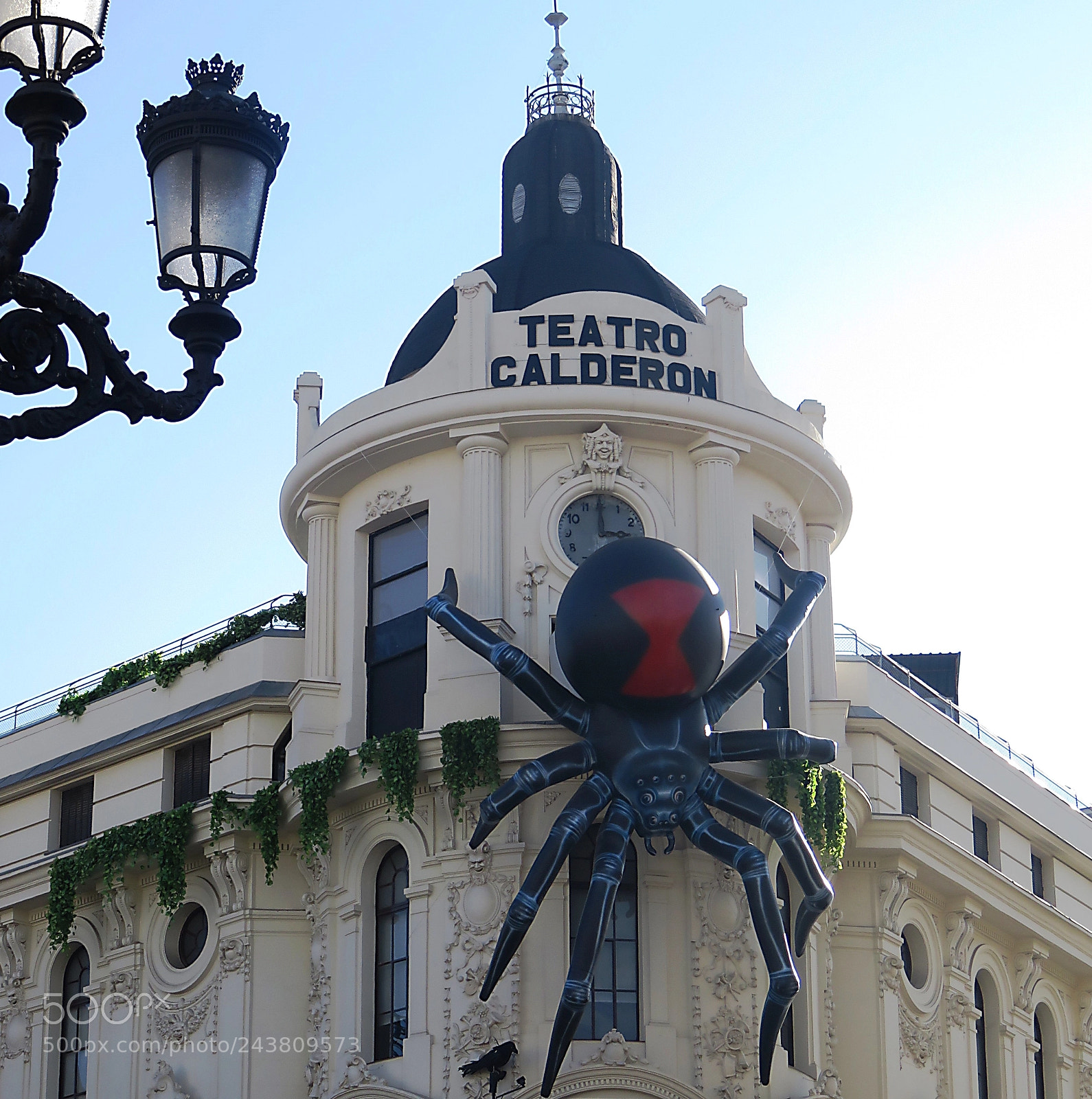 Canon PowerShot SX710 HS sample photo. Giant spider photography