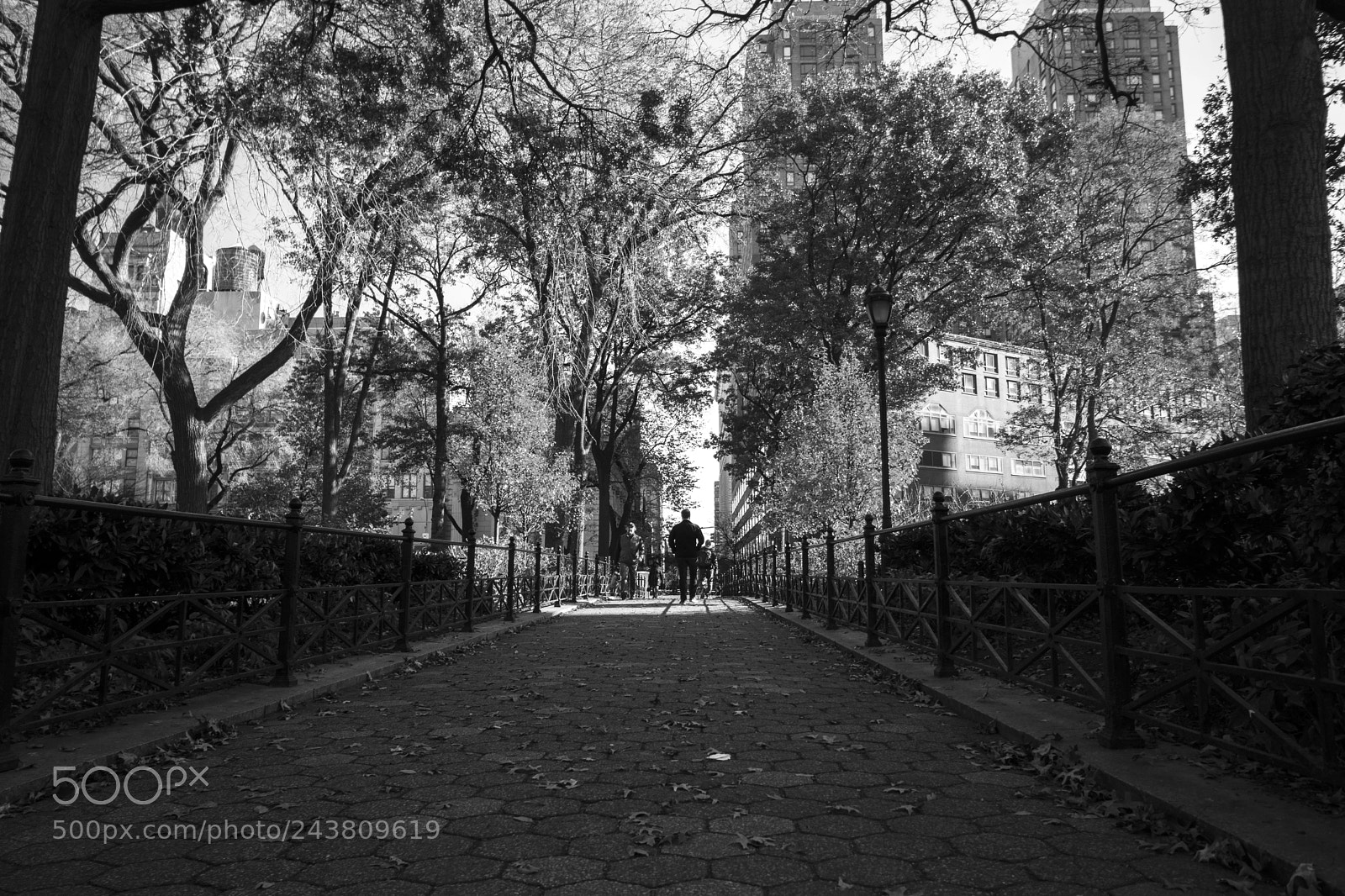 Canon EOS 77D (EOS 9000D / EOS 770D) sample photo. Nyc  - b&w photography