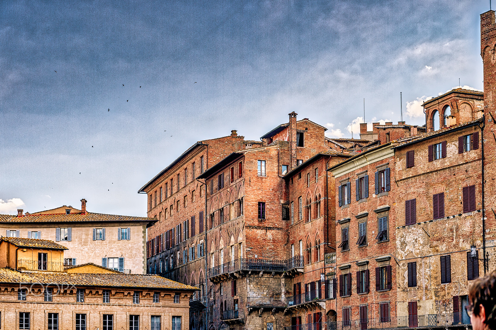 Nikon D4S sample photo. Piazza del campo sienna photography