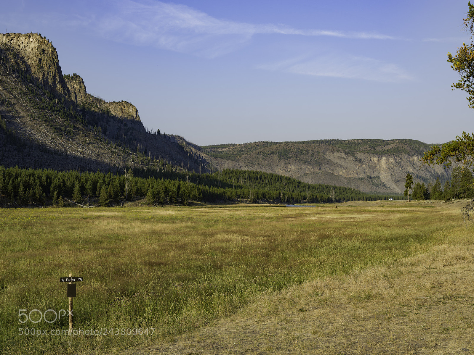Fujifilm GFX 50S sample photo. Madison river photography